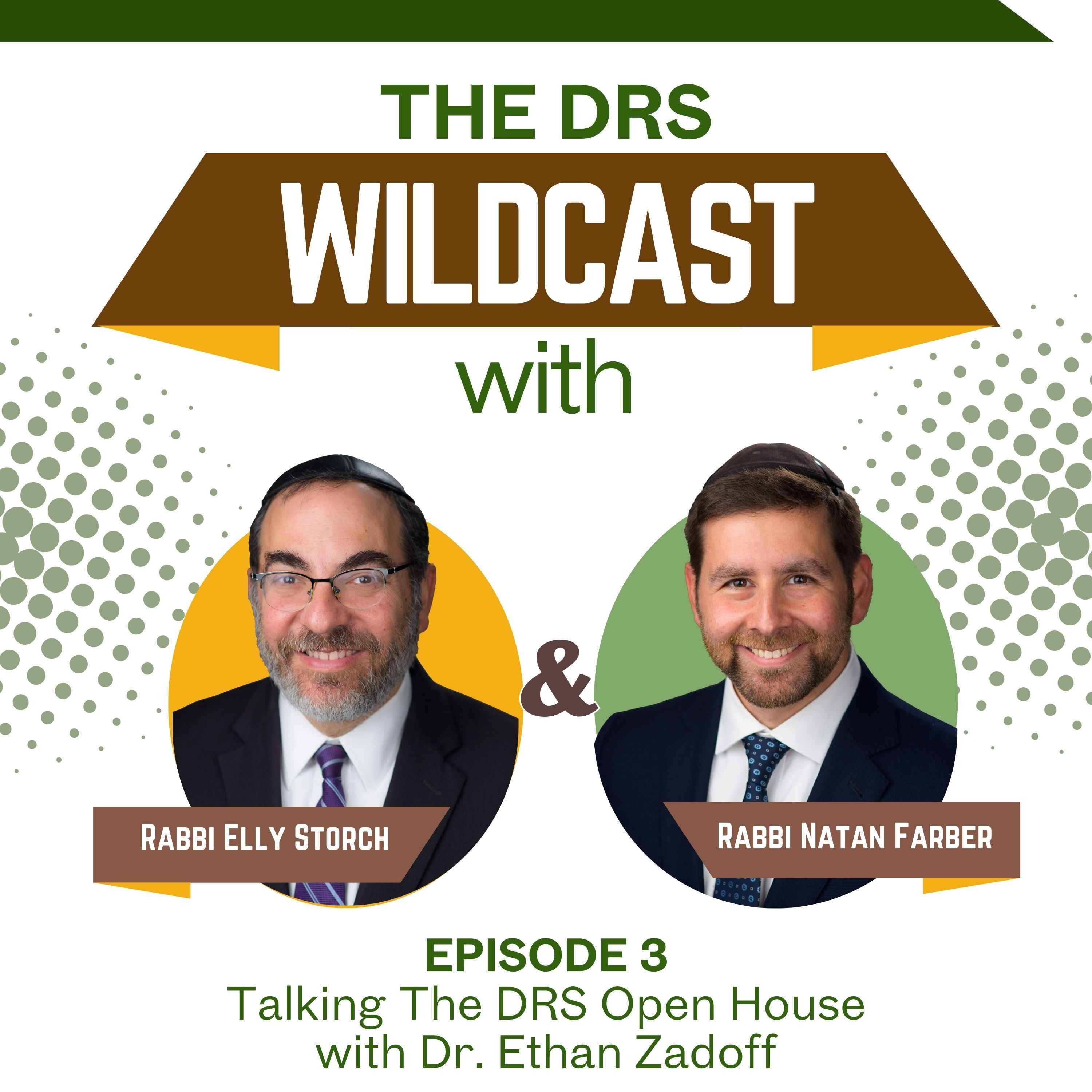 The DRS Wildcast