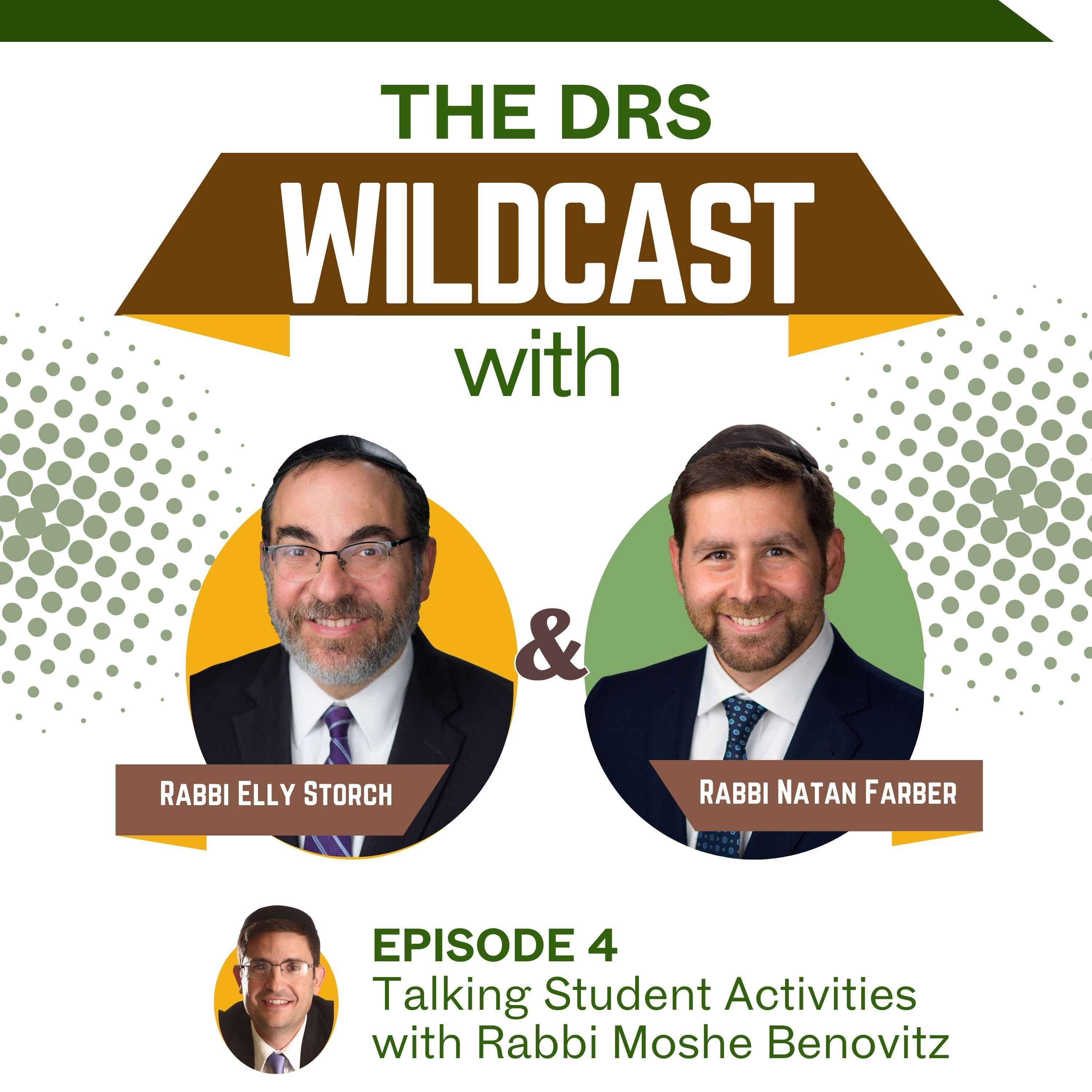 The DRS Wildcast