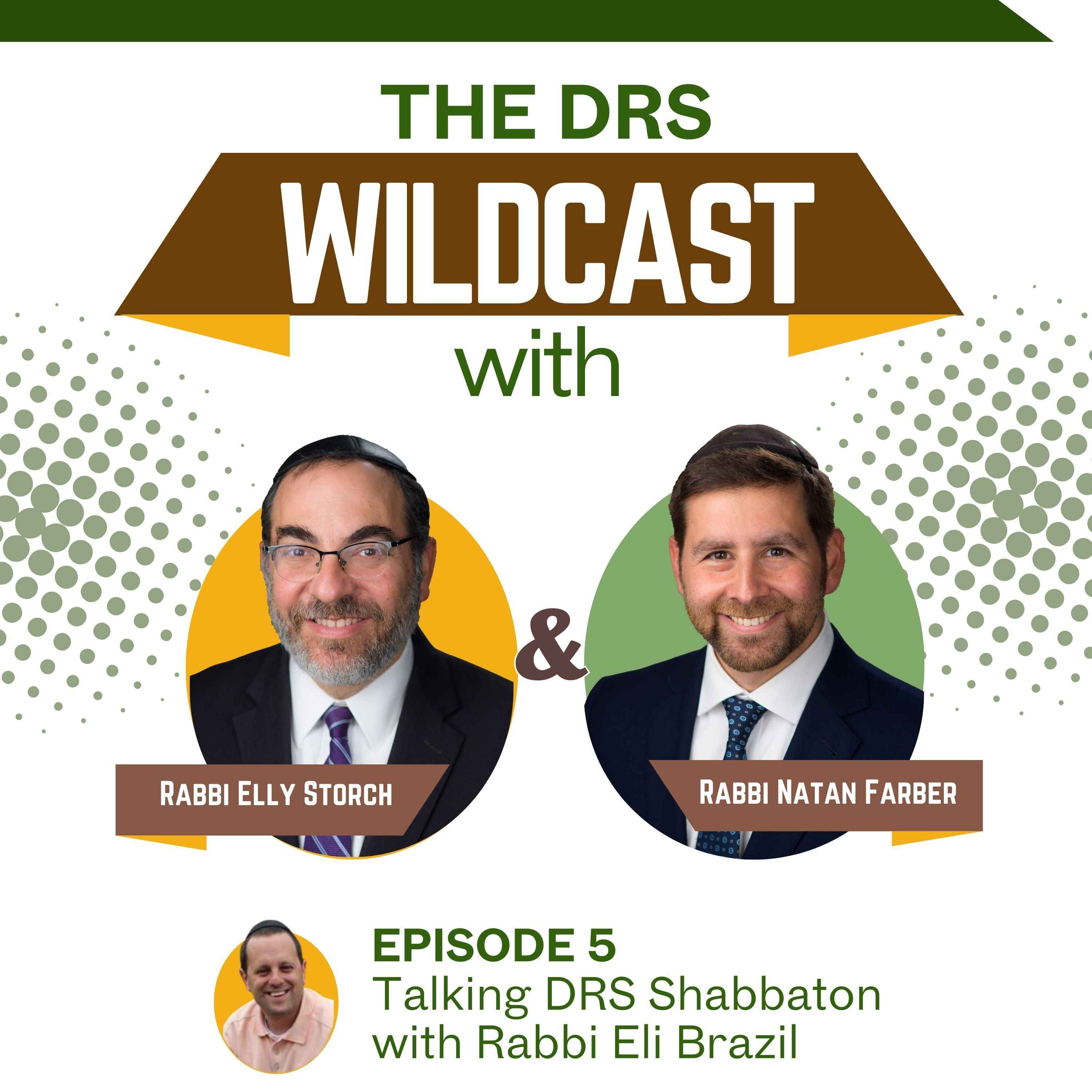 The DRS Wildcast