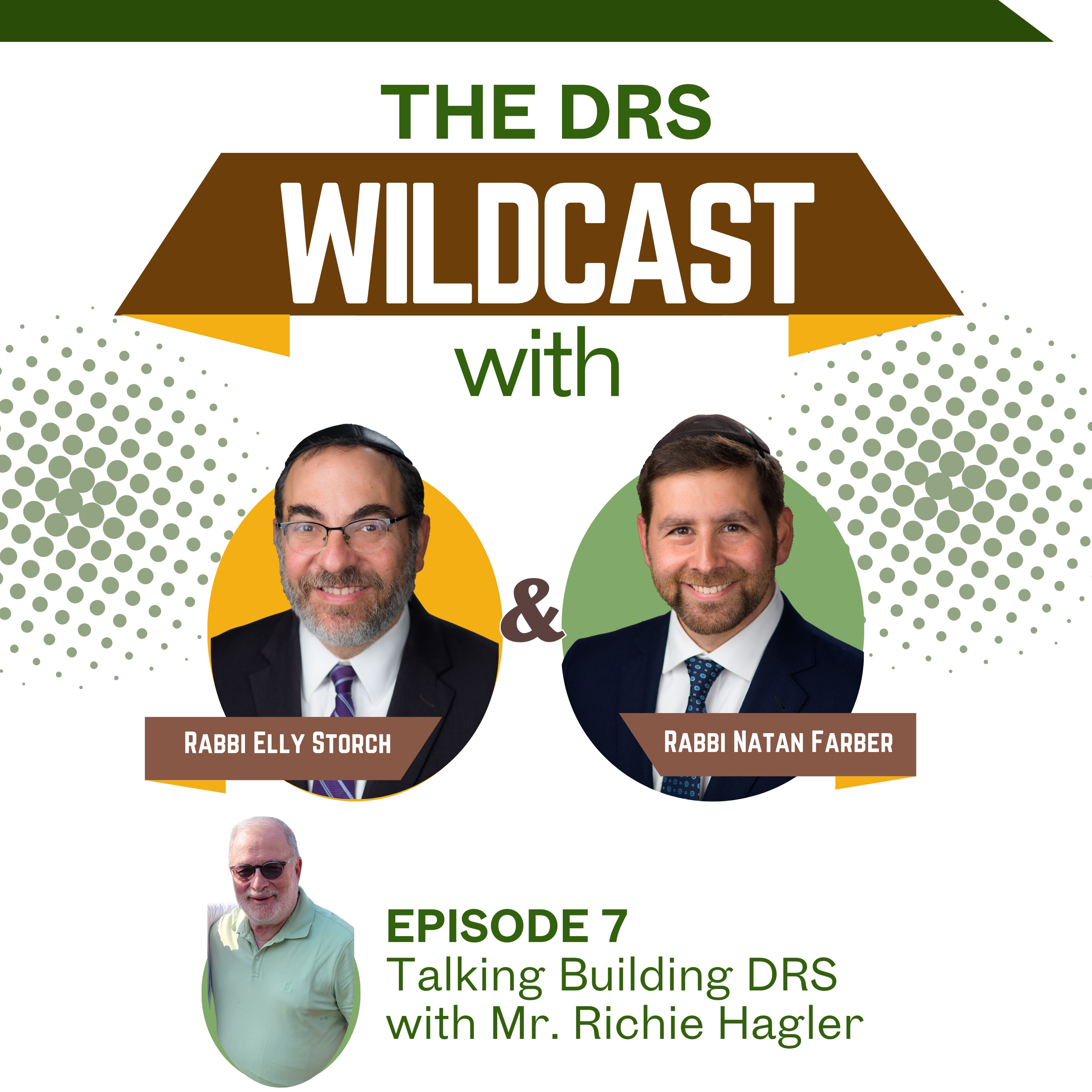 The DRS Wildcast