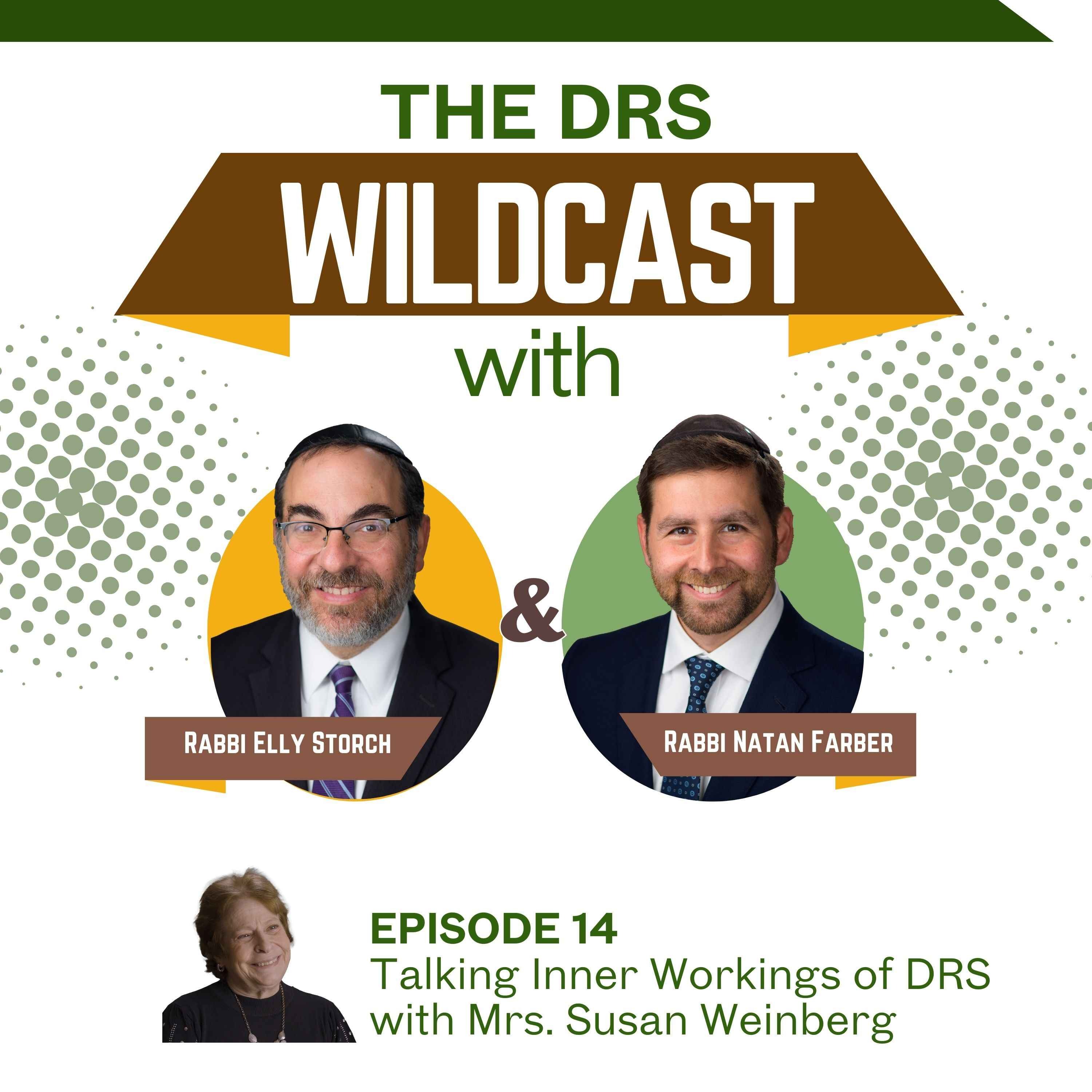 Episode 14: Talking Inner Workings of DRS with Mrs. Susan Weinberg episode artwork