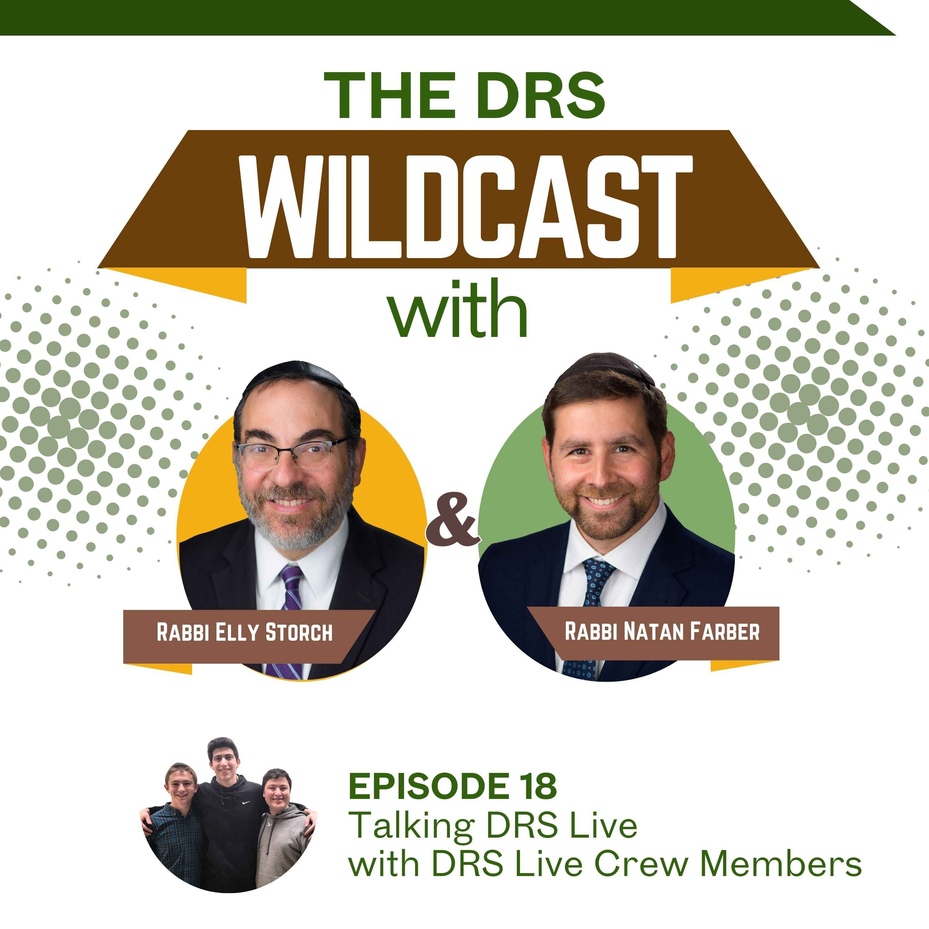 The DRS Wildcast