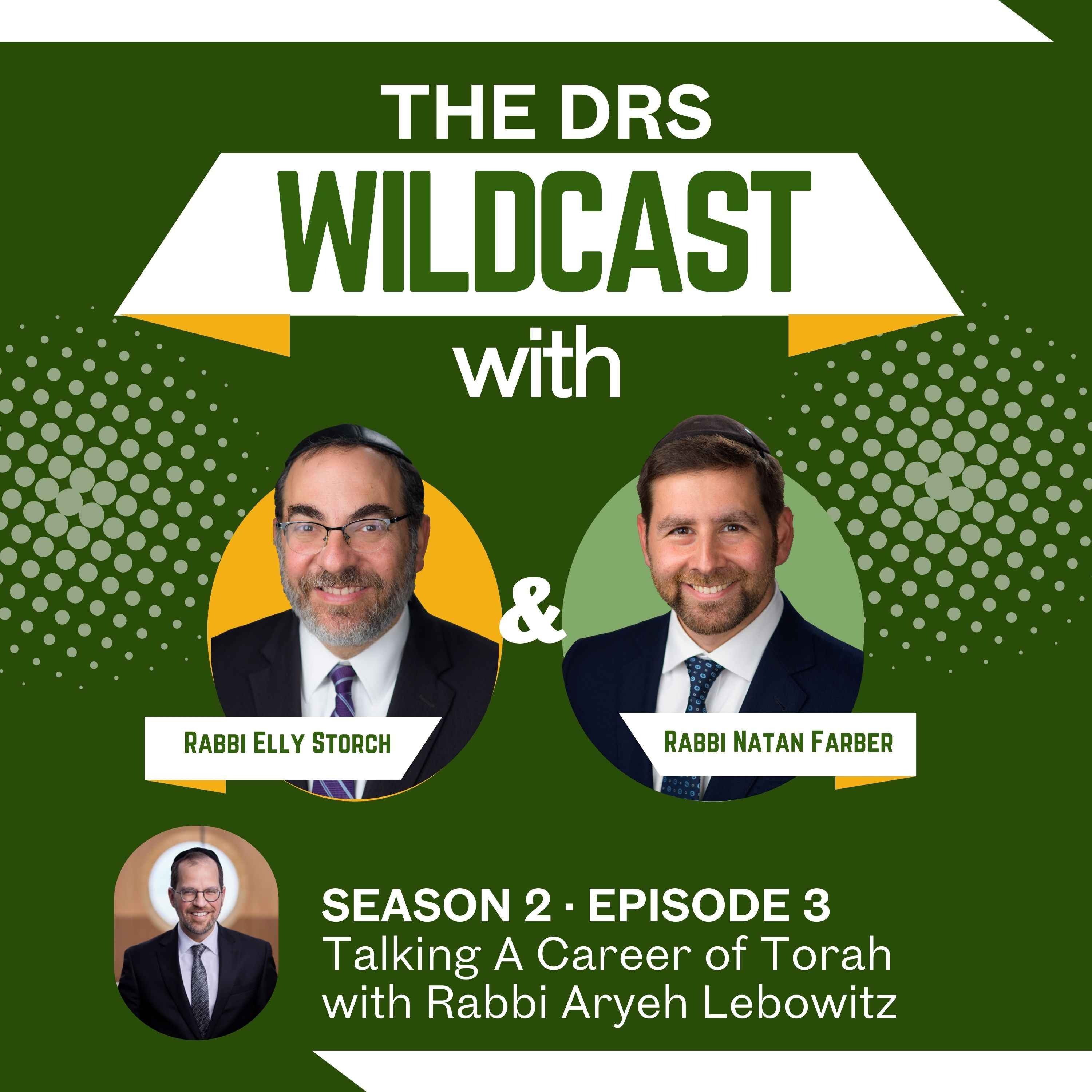 The DRS Wildcast