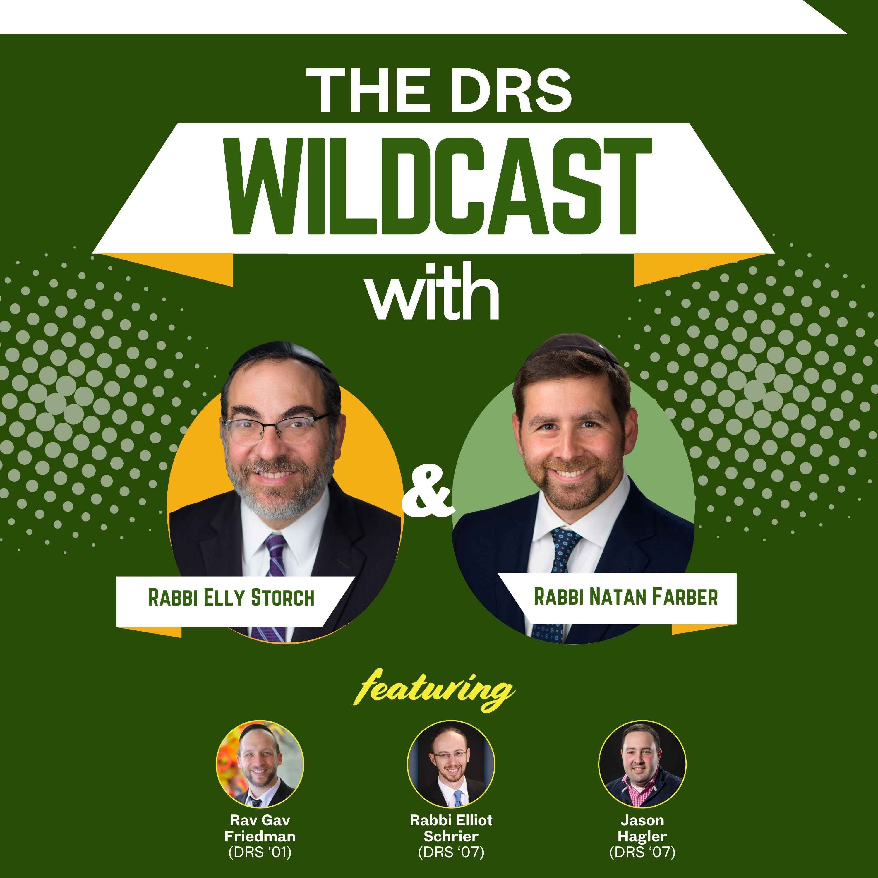 The DRS Wildcast