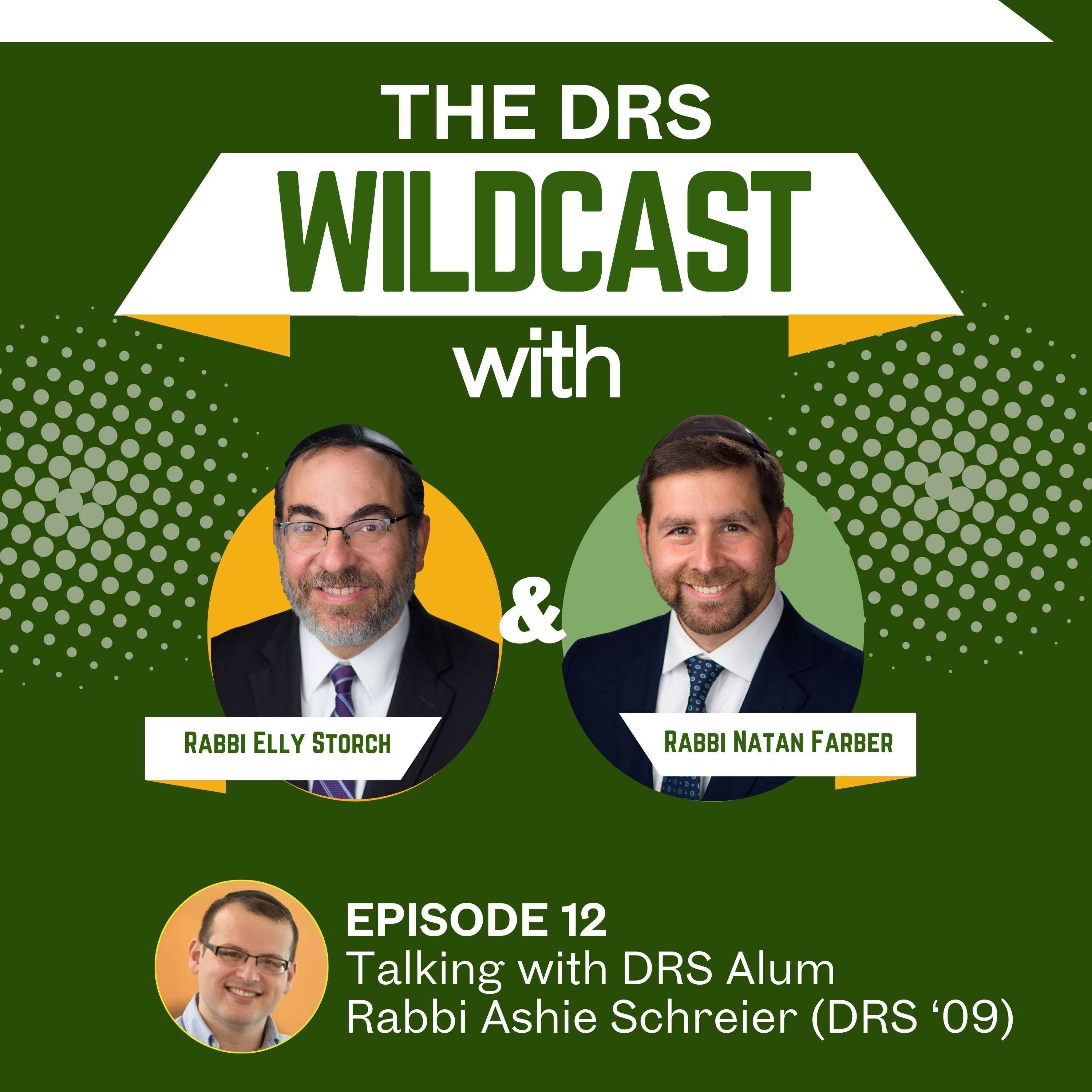The DRS Wildcast