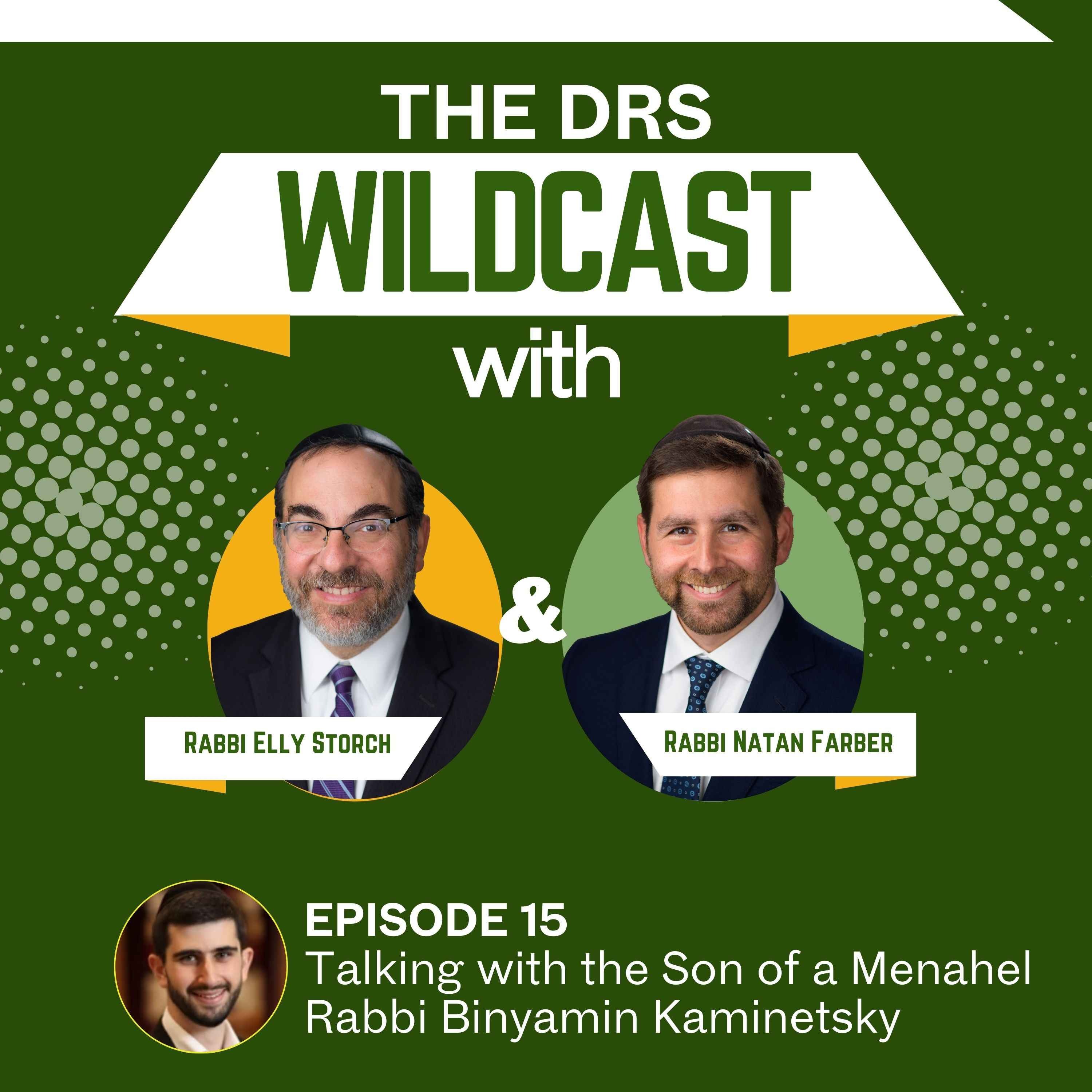 The DRS Wildcast