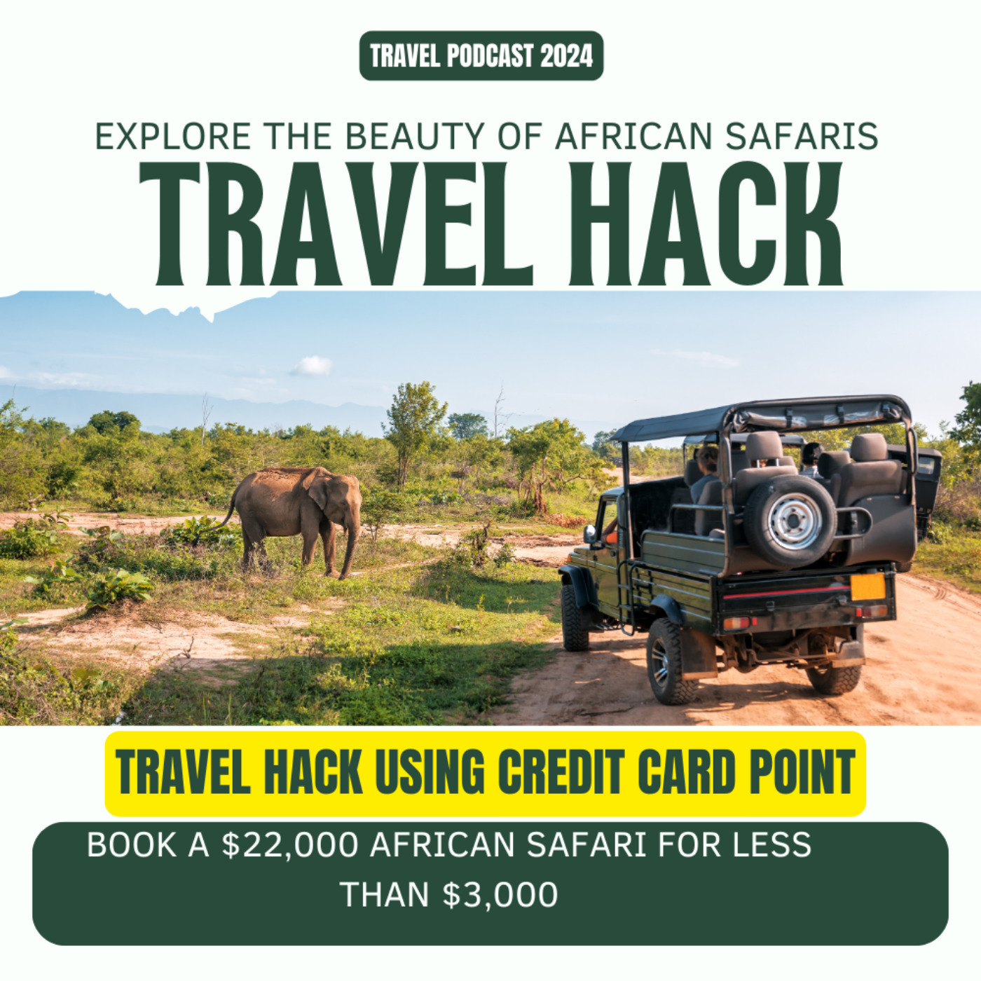 Travel hack using credit card point:  Book a $22,000 African Safari for Less Than $3,000 episode artwork