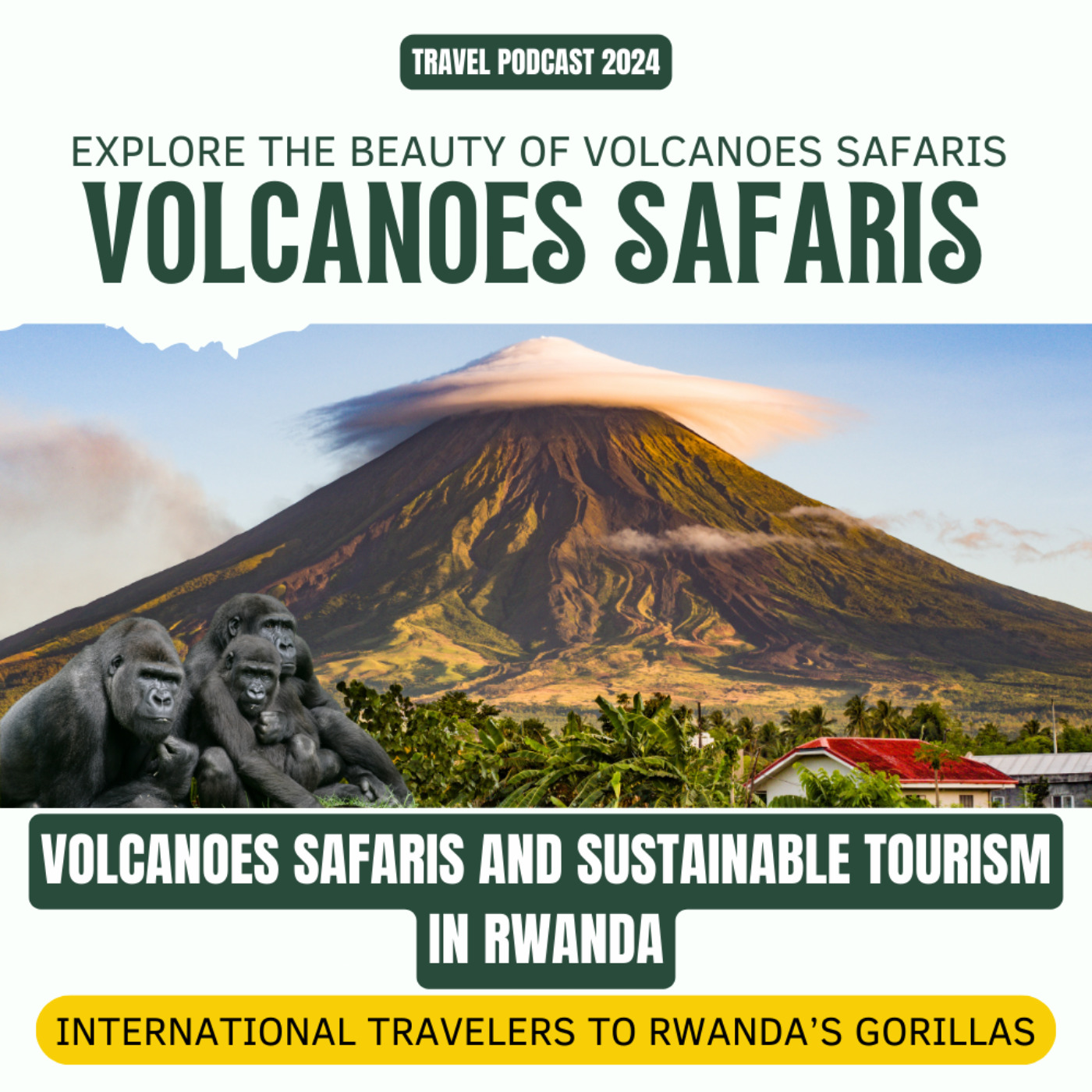 Volcanoes Safaris and Sustainable Gorilla Tourism: International Travelers 2024 episode artwork