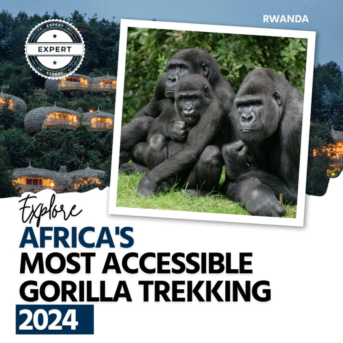 What makes Rwanda a unique safari destination in 2024? episode artwork