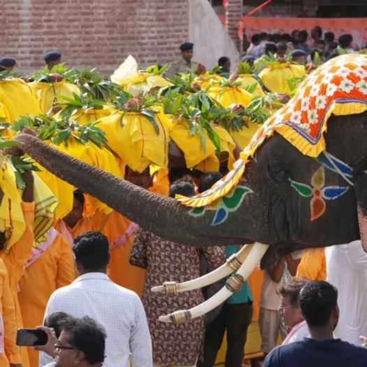 خرافات چگونه ذهن ما رو شکل میدن؟