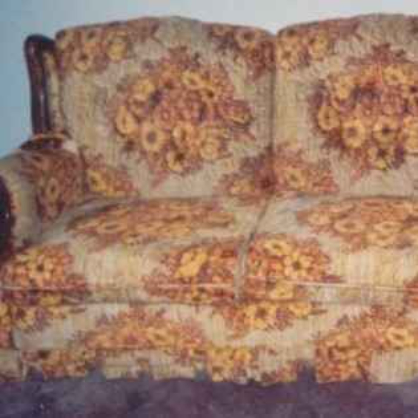 Stories, Half-Truths and Outright Lies from the World\'s Ugliest Couch