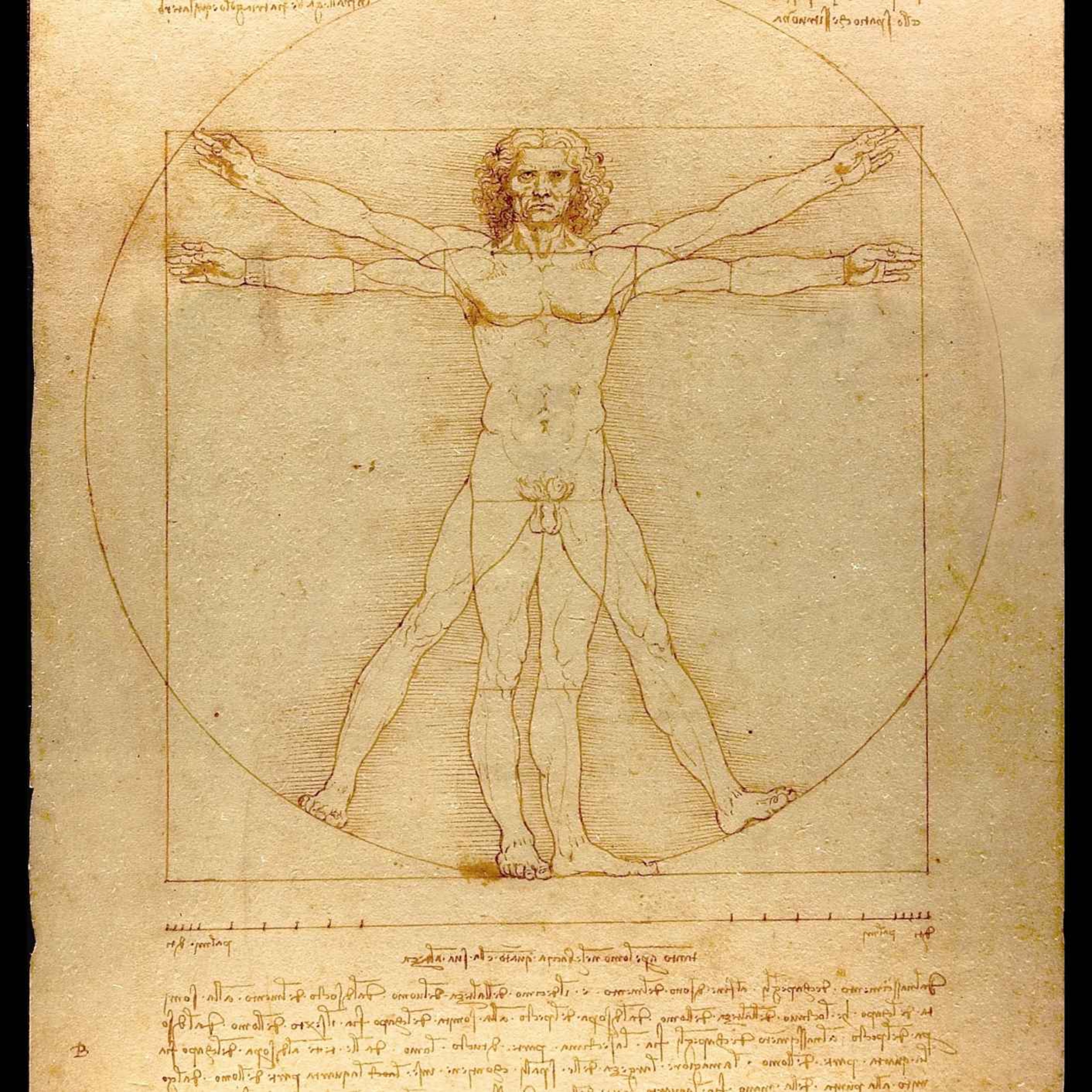 An Invitation to Being Human: Ep. 5 - The External and The Internal episode artwork