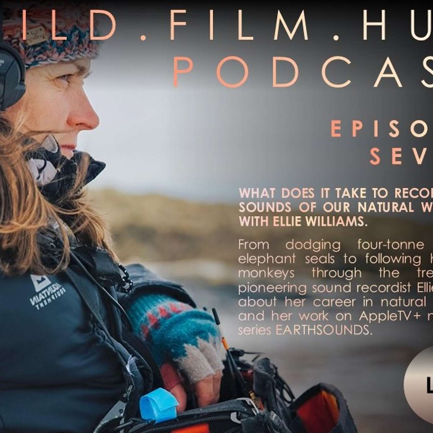 Wild Film Hub