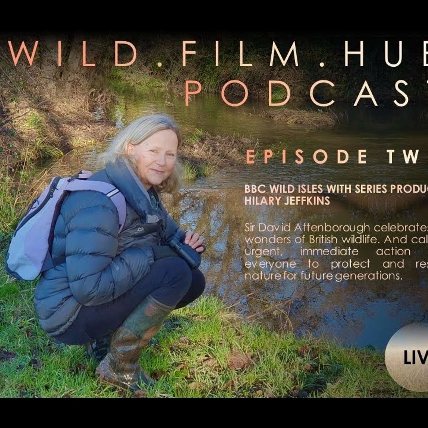 Wild Film Hub