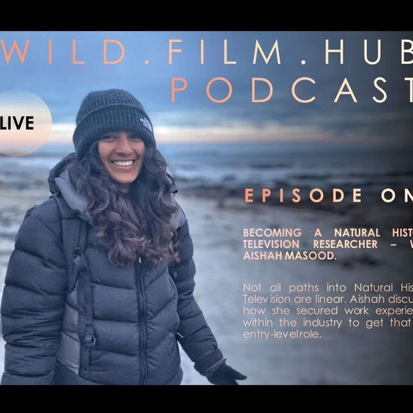 Wild Film Hub