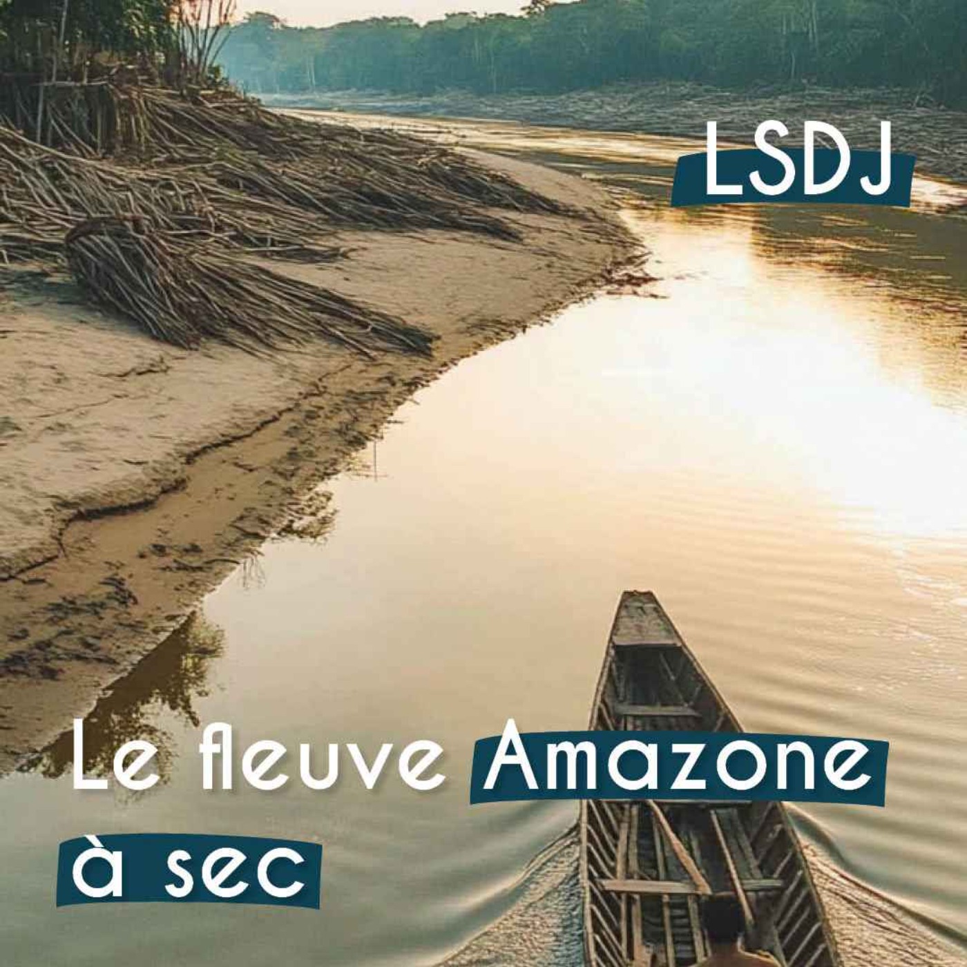 La Sélection du Jour - LSDJ
