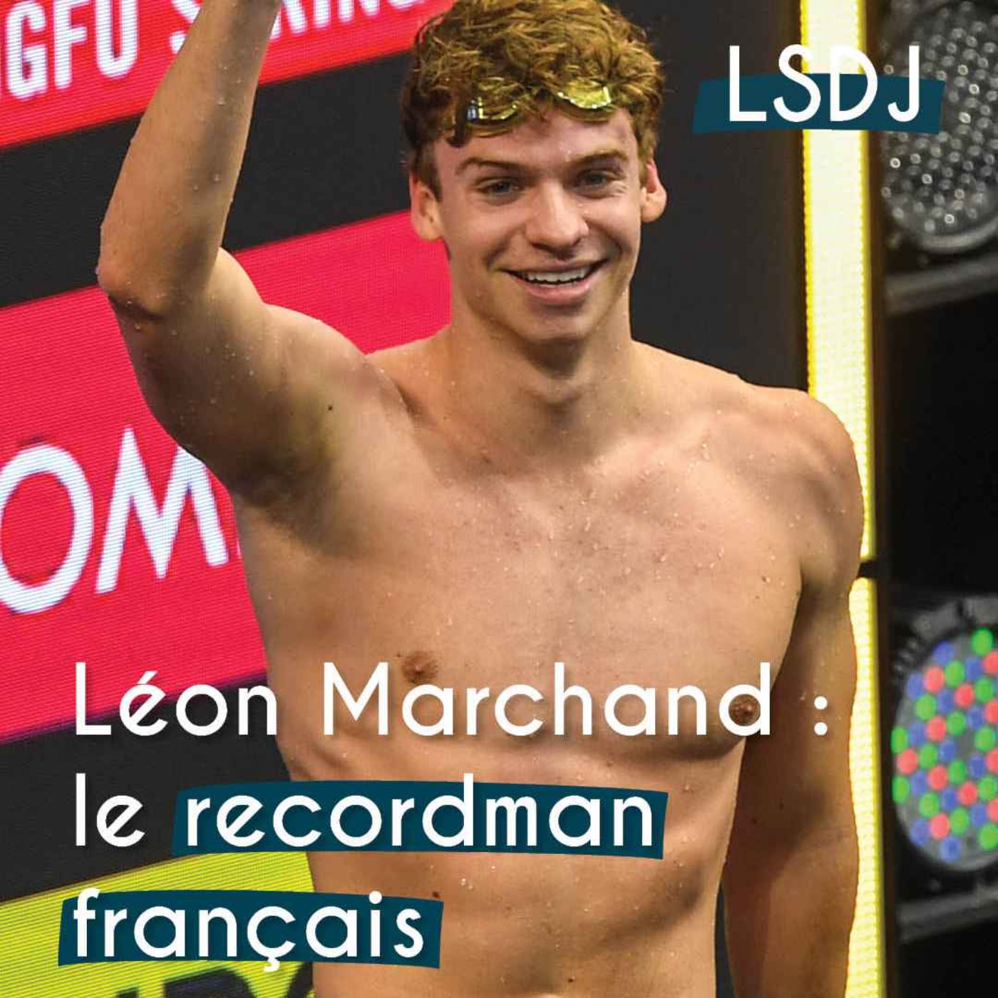 La Sélection du Jour - LSDJ