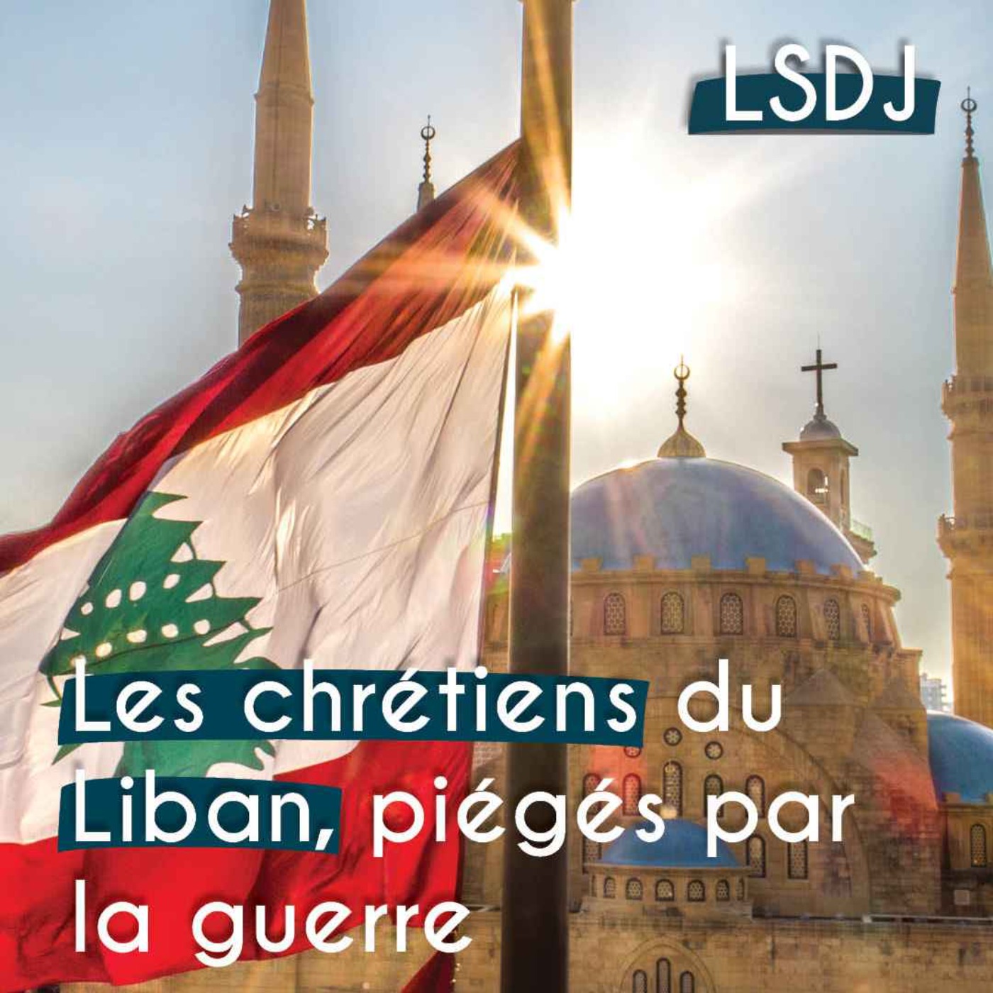 La Sélection du Jour - LSDJ