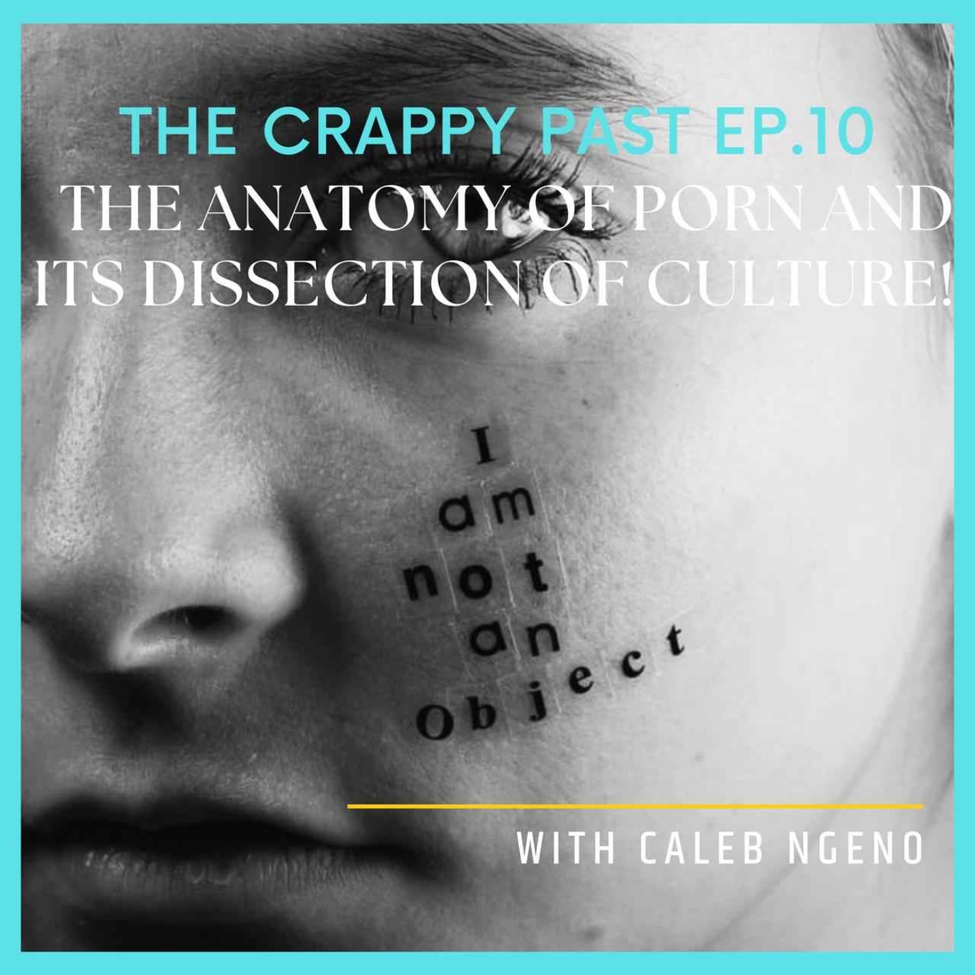 (10). The Anatomy of Pornography and its Dissection of Culture.