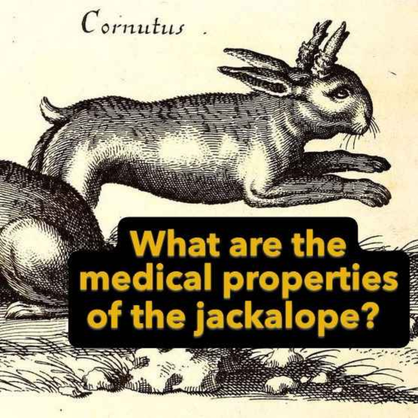 The Healing Power of Fake Creatures w/Phil W. Bayles episode artwork