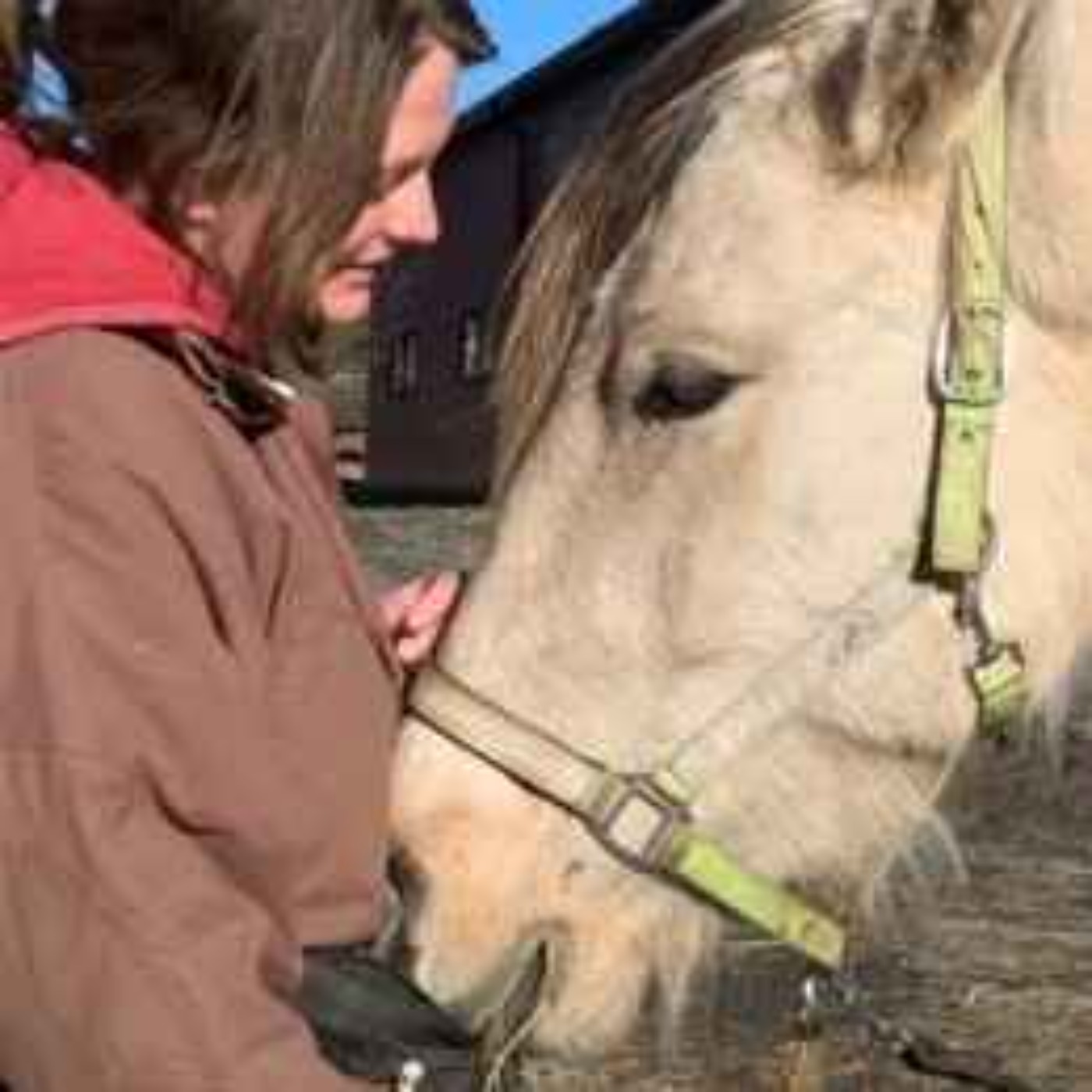 #46 Kli, Klapp eller Kandy?