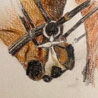 #21 När våld blir vackert episode artwork
