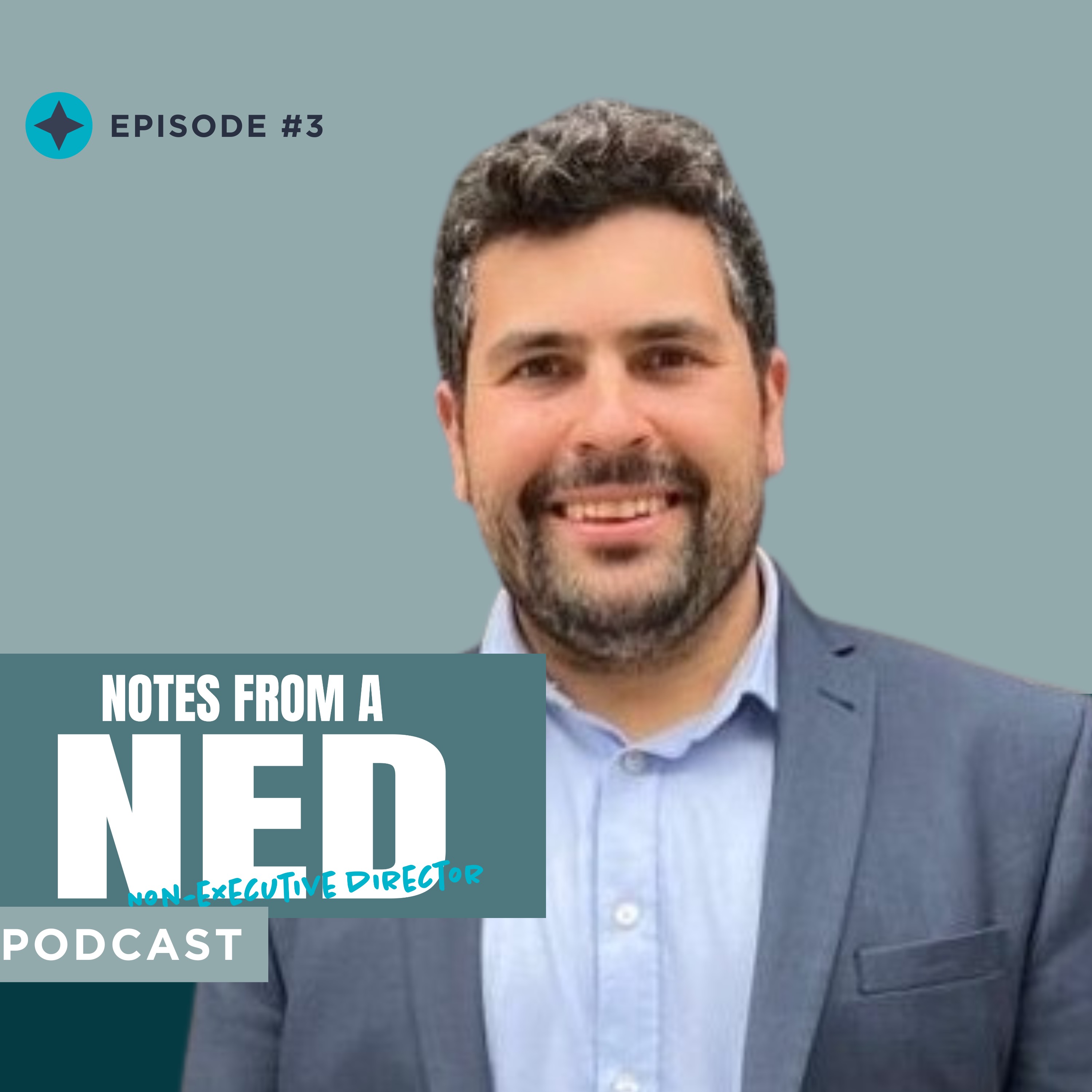 Notes From A NED