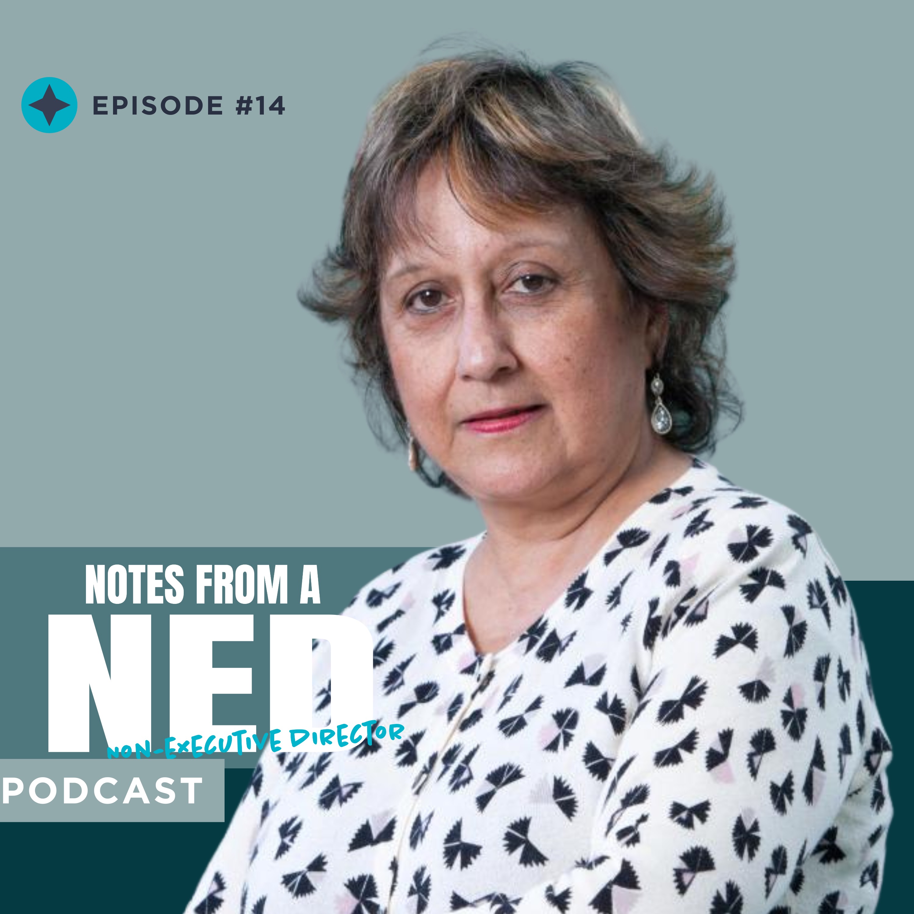 Notes From A NED