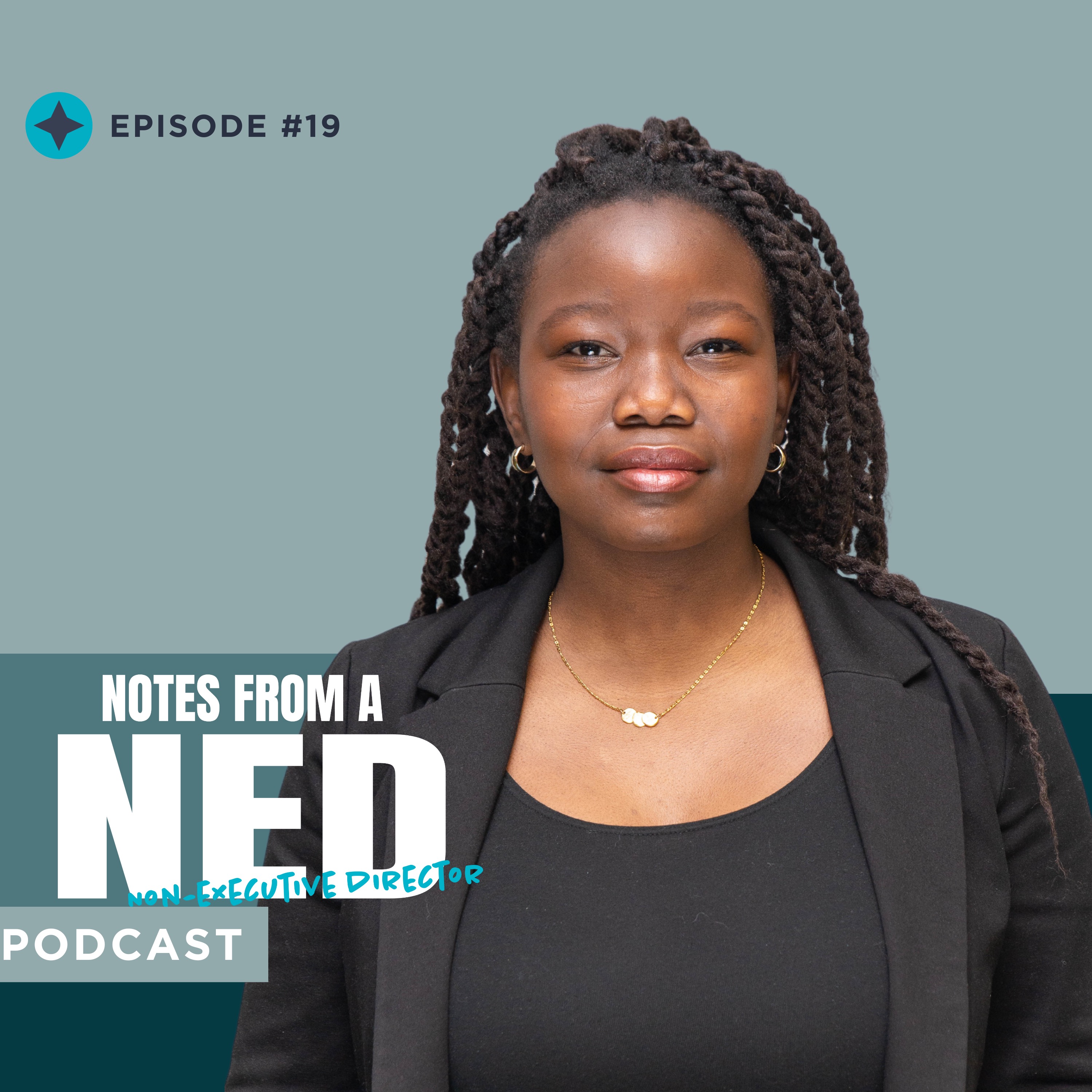 Notes From A NED