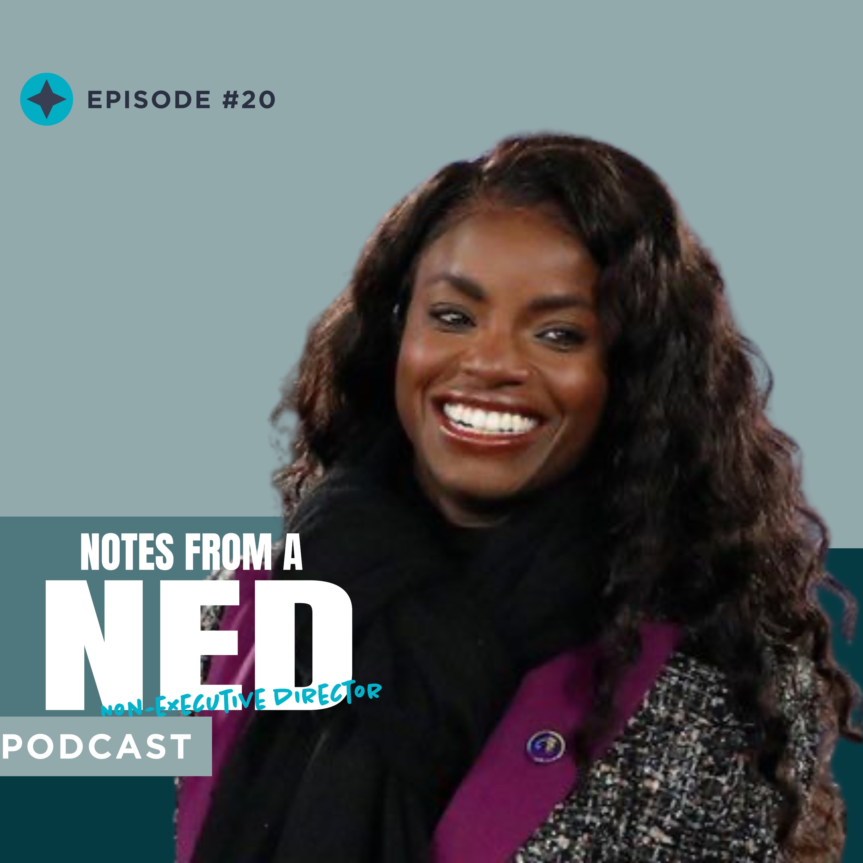 Notes From A NED