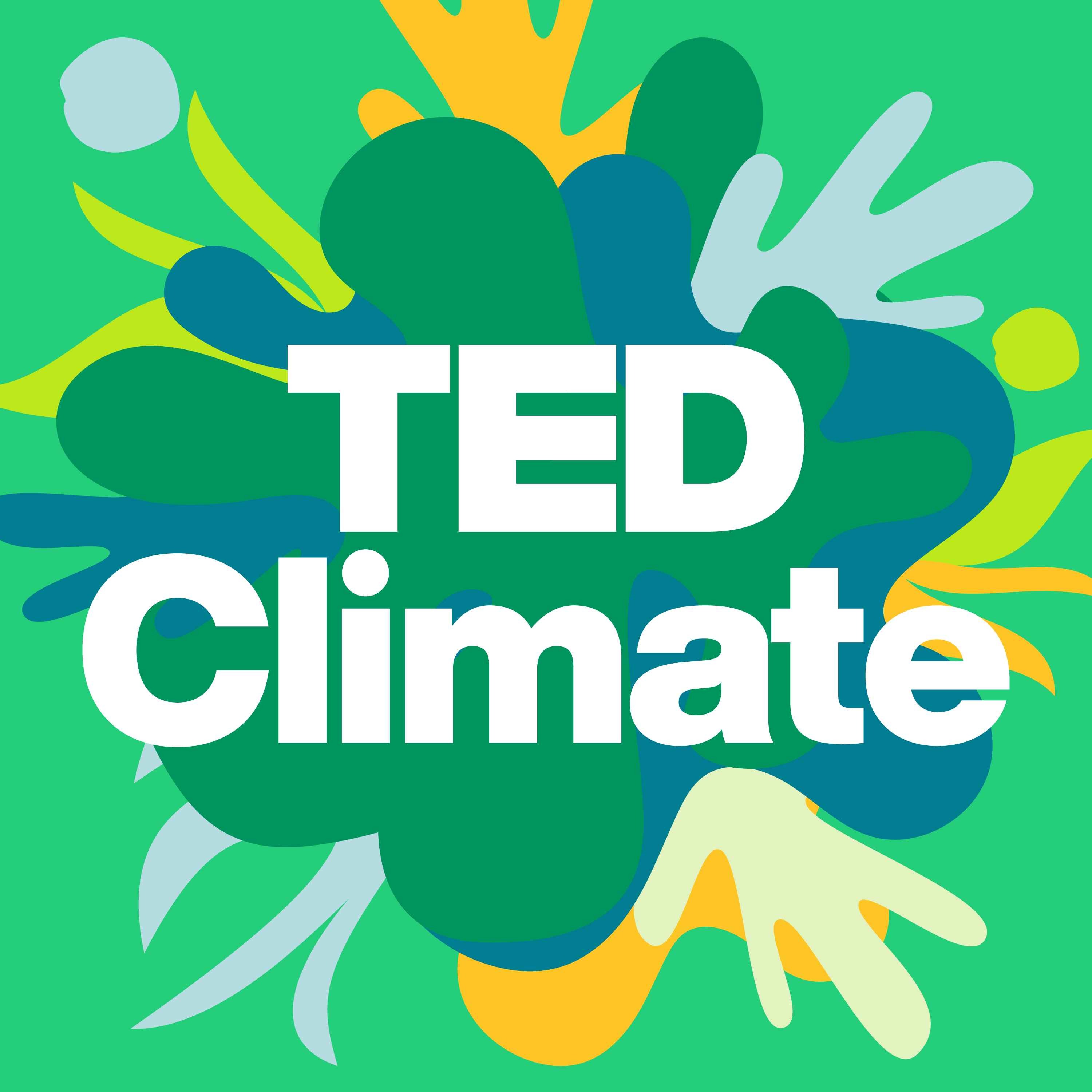 TED Climate Artwork