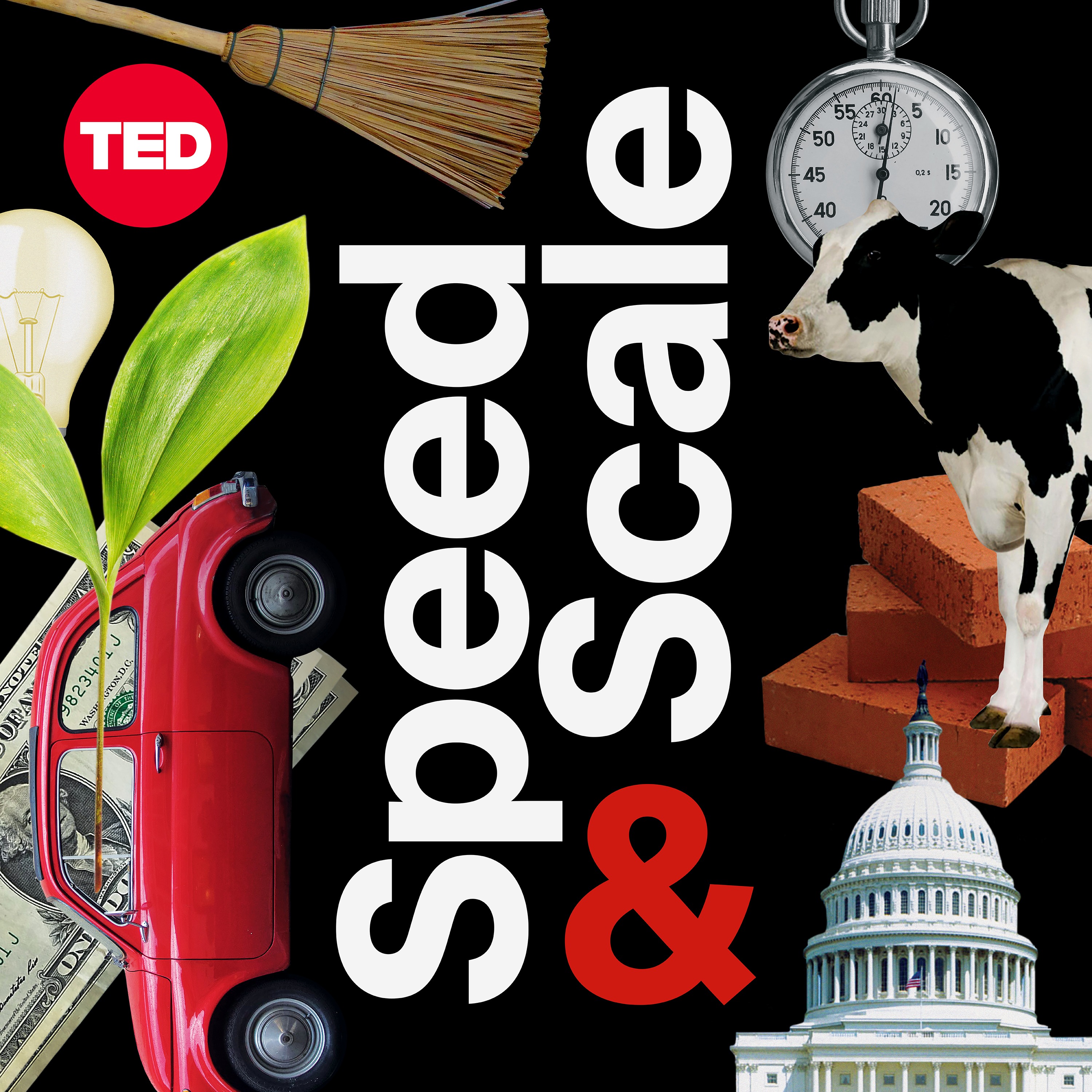 Speed & Scale Artwork