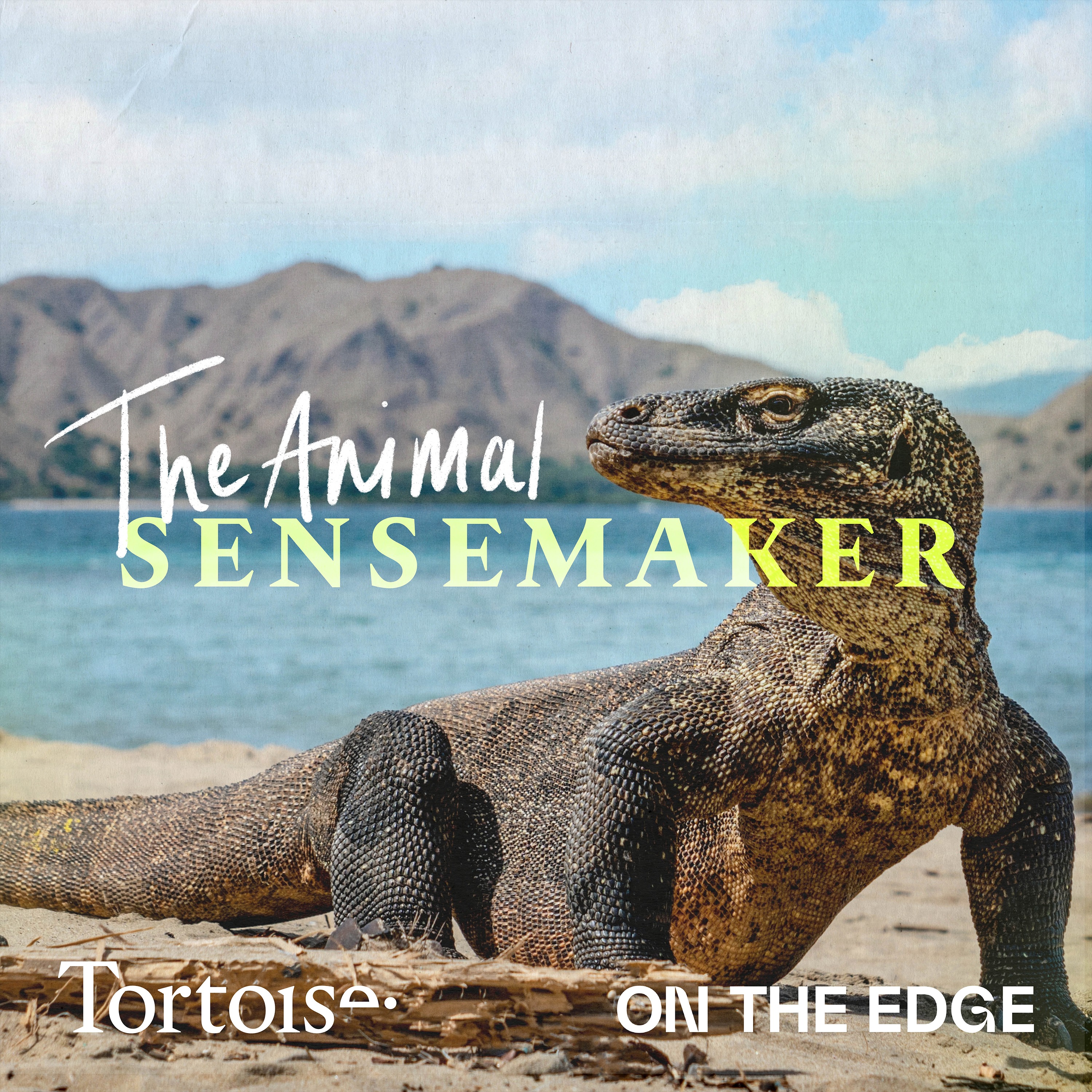 The Animal Sensemaker