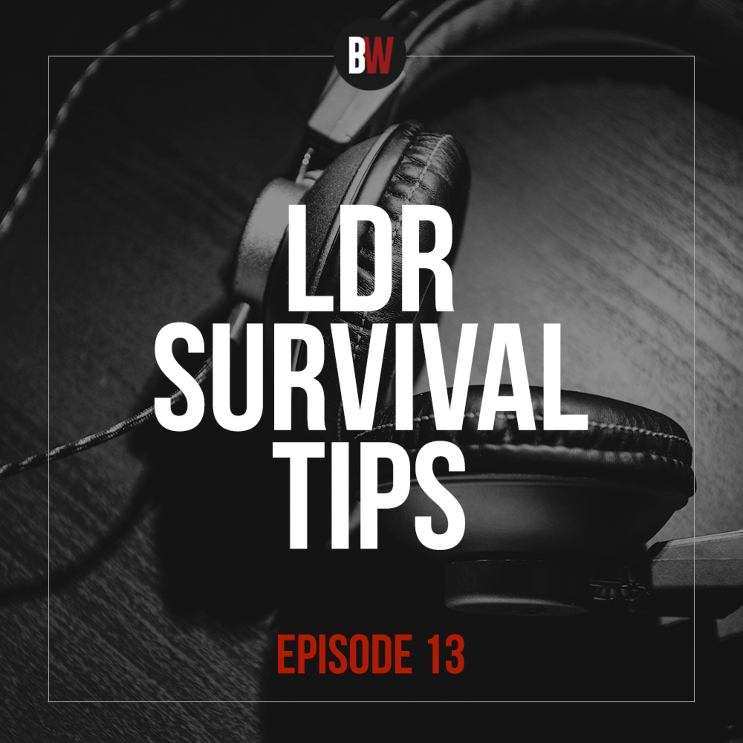 13. The LDR Survival Tips episode artwork