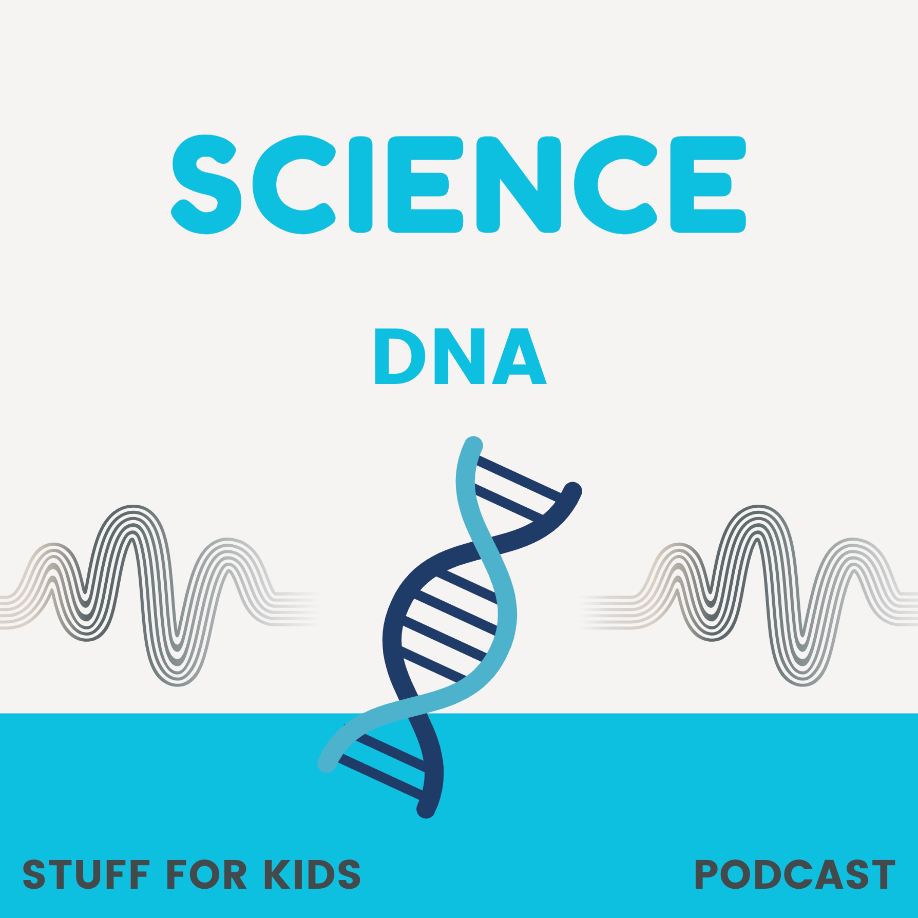 DNA