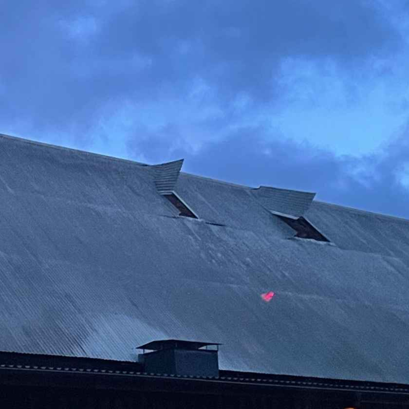 Avsnitt 77 - Storm, städad skog samt hopp om granen!