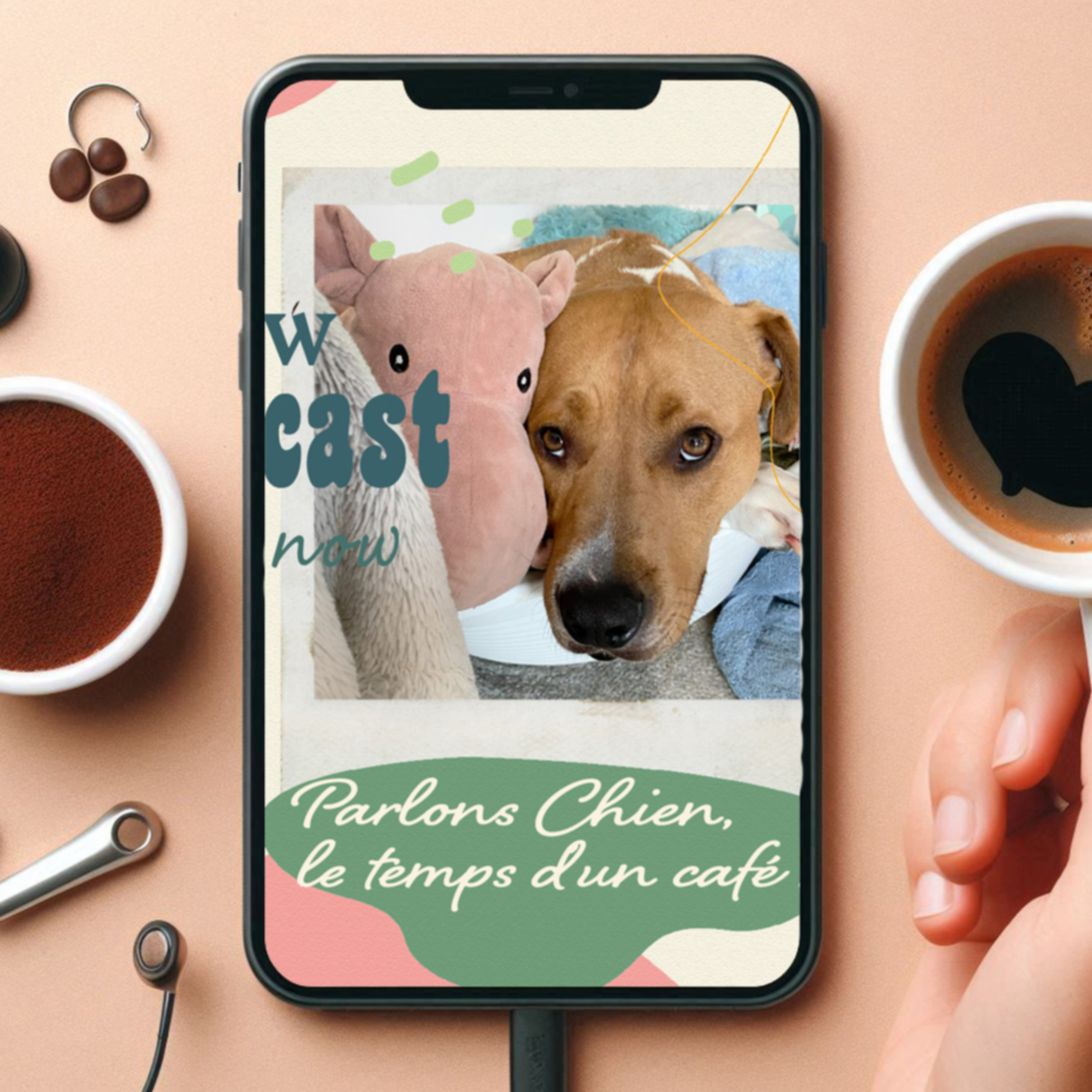 Parlons Chiens, le temps d'un café ! podcast artwork