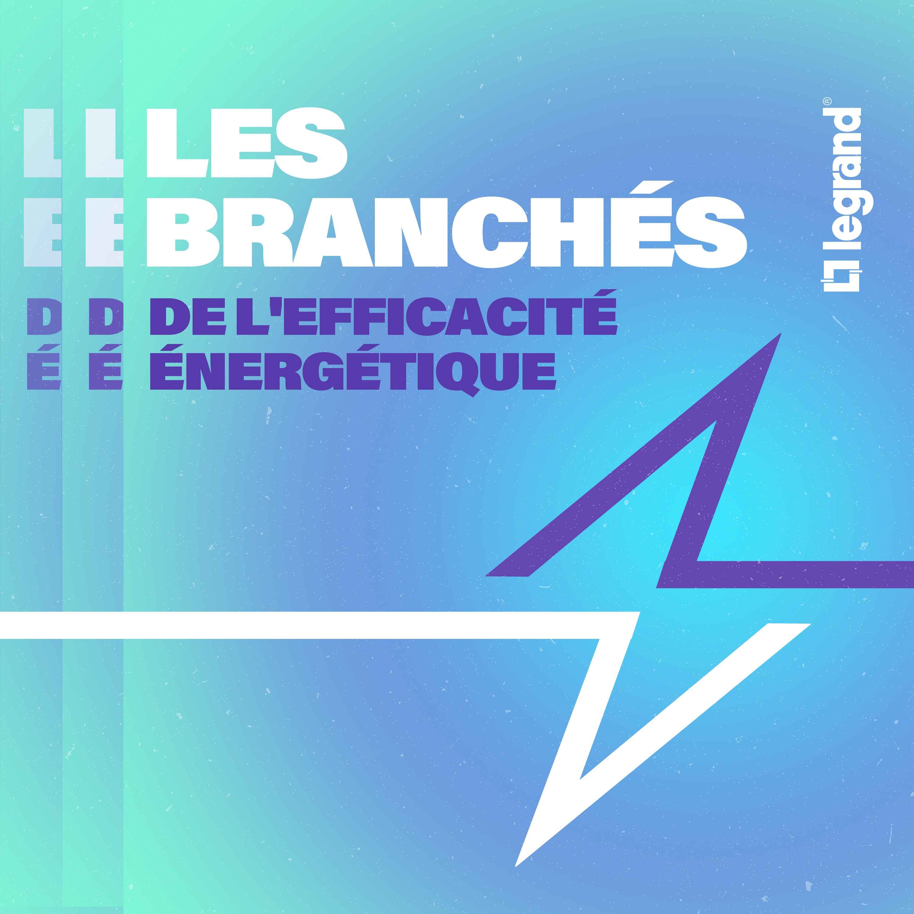 Les branchés de l\'efficacité énergétique