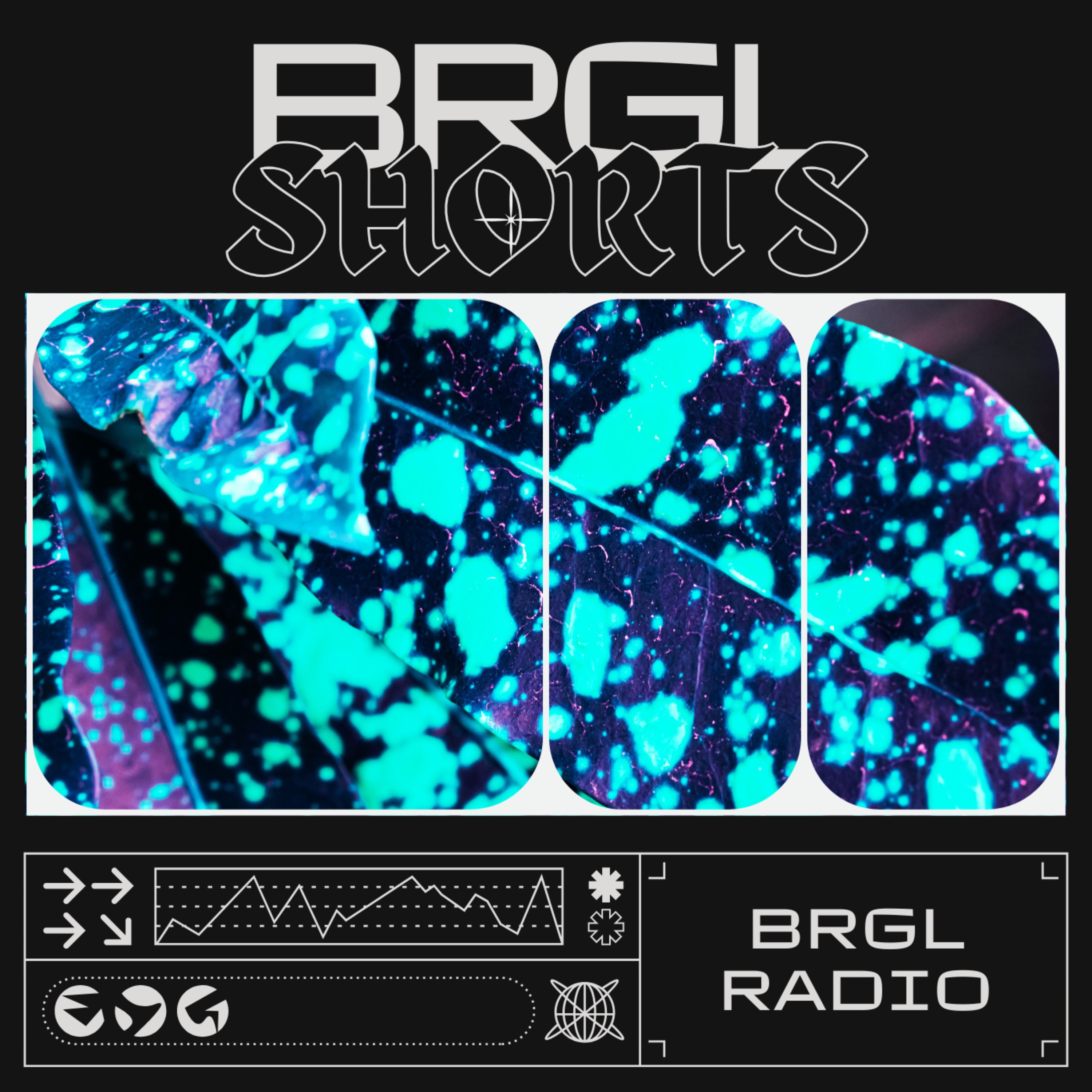 BRGL Shorts