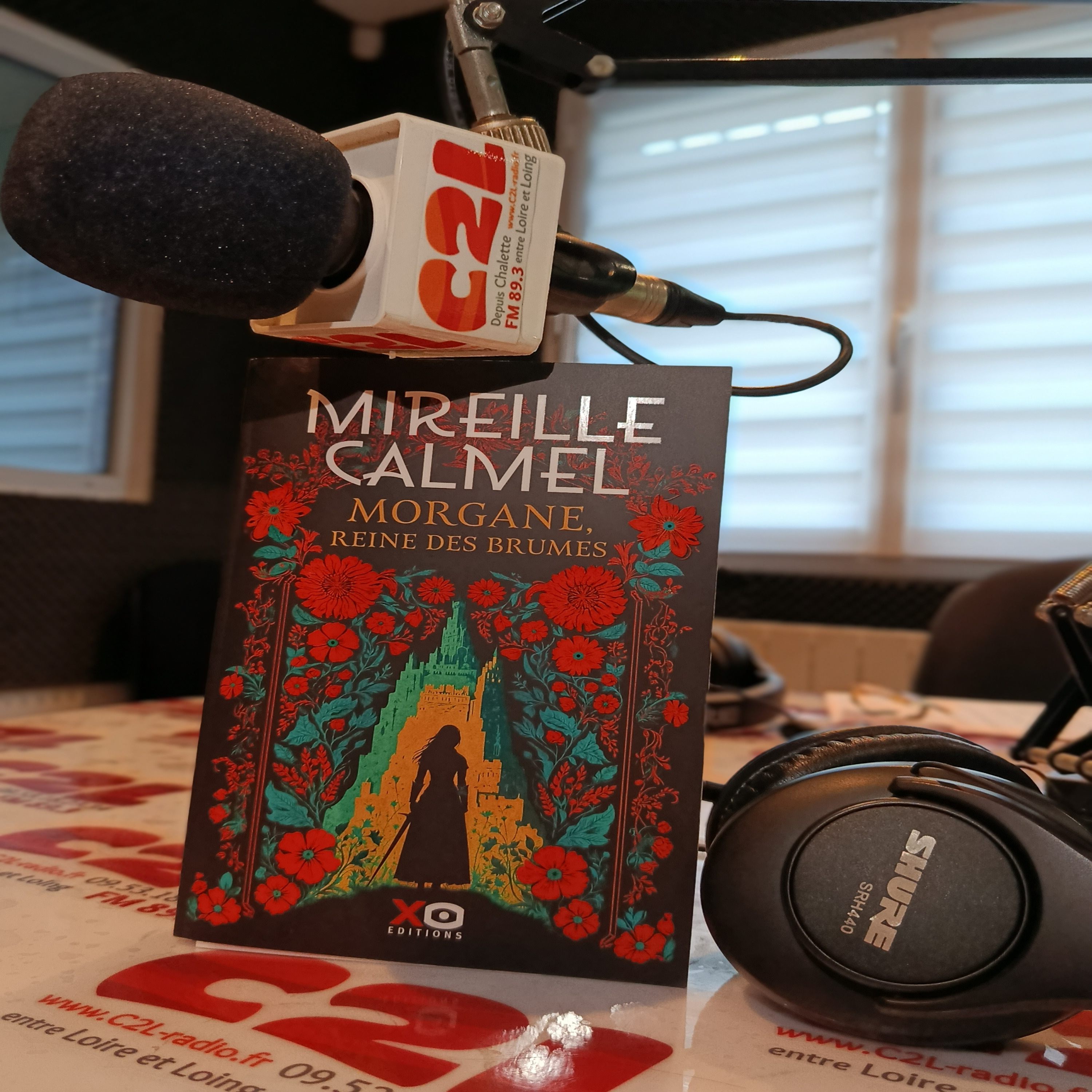 Des Livres et Vous - Mireille Calmel _ Morgane la reine des brumes