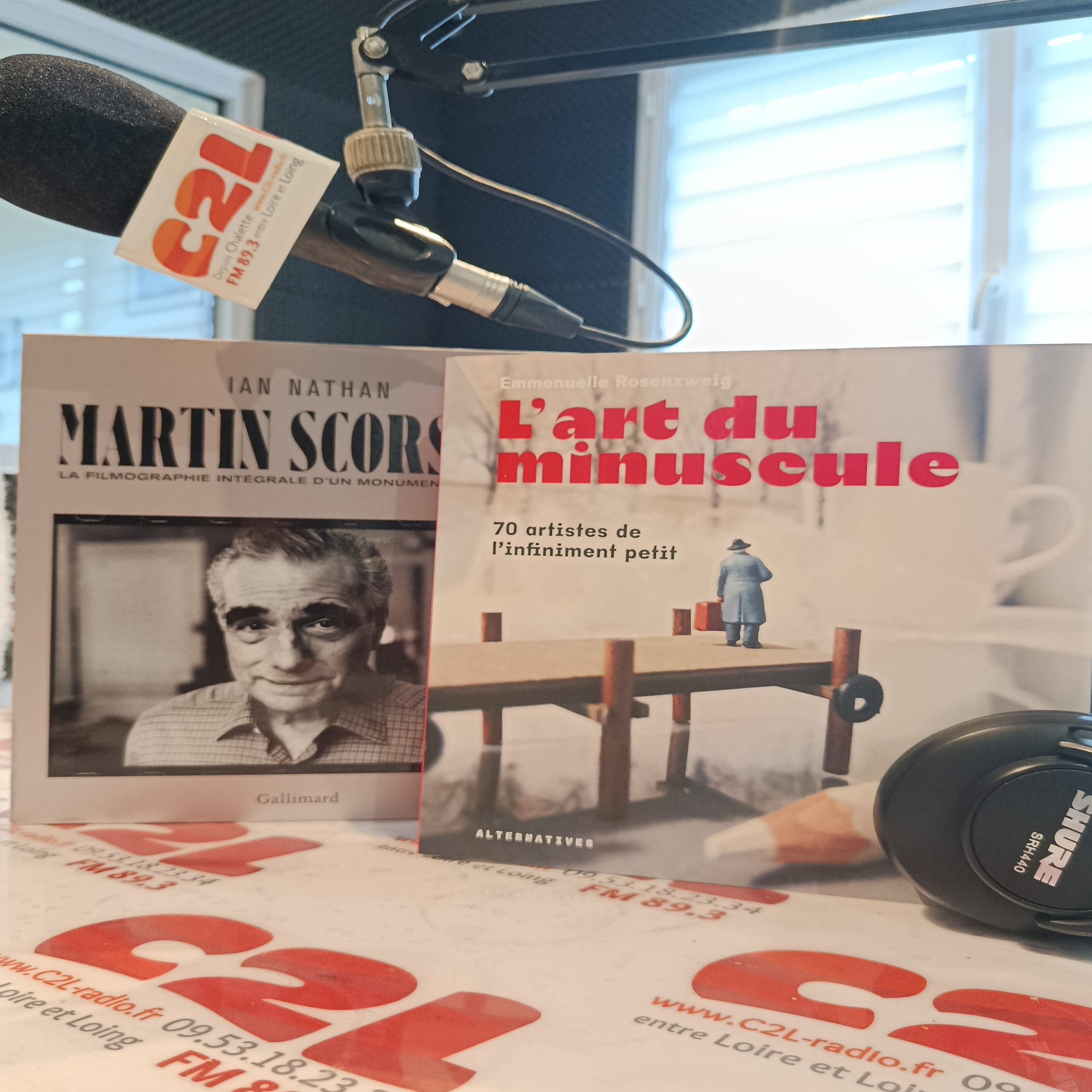 Des Livres et Vous - Emmanuelle ROSCENZWEIG_ L’Art du minuscule episode artwork