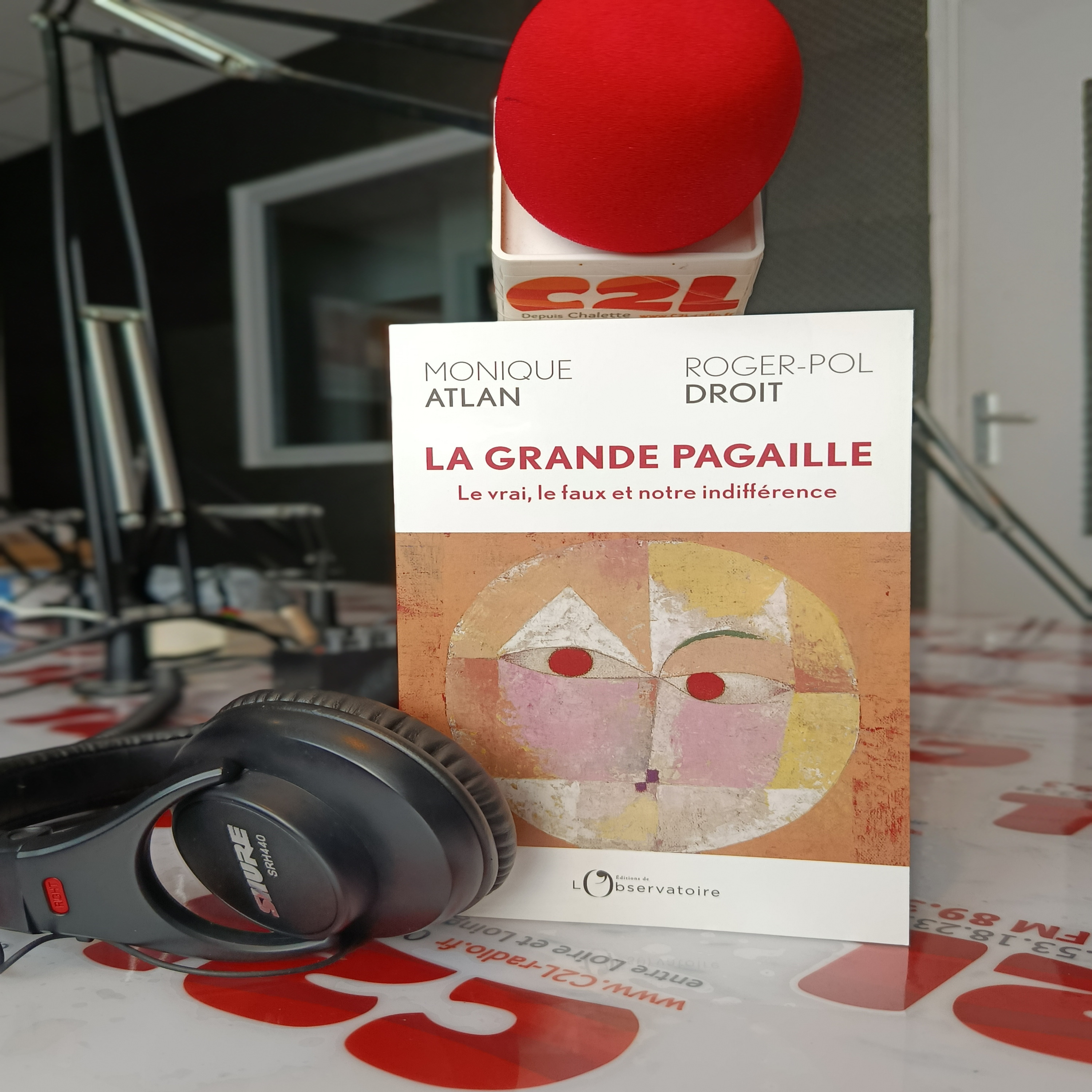 Des Livres et Vous - Catherine ATLAN et Roger Pol-Droit _ La grande pagaille episode artwork