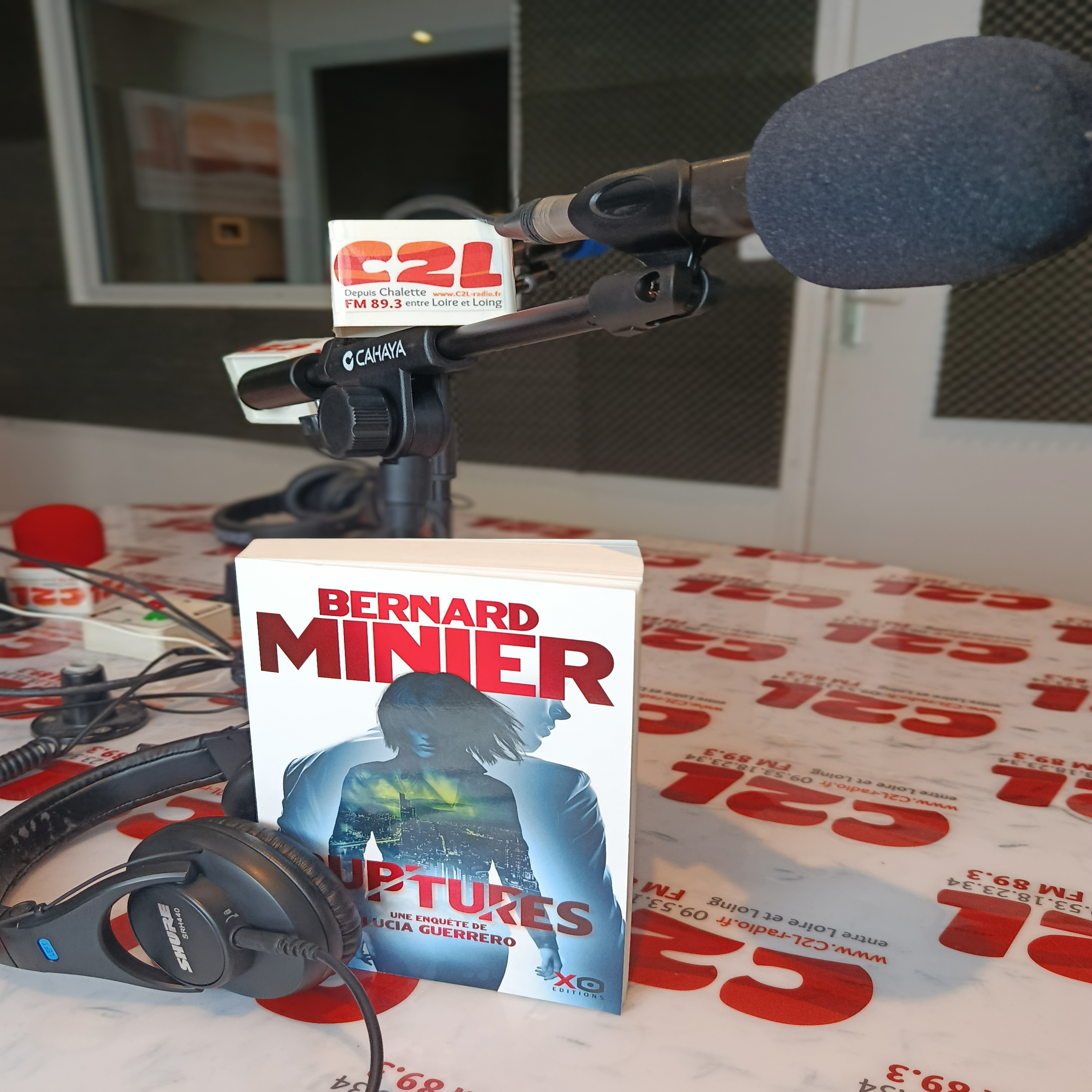 Des Livres et Vous - Bernard MINIER – Ruptures episode artwork