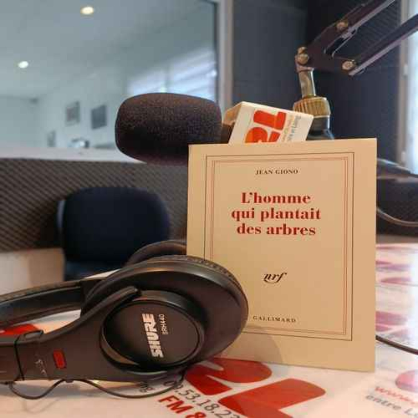 Des Voix à Lire - L’Homme qui plantait des arbres, Jean Giono - suite