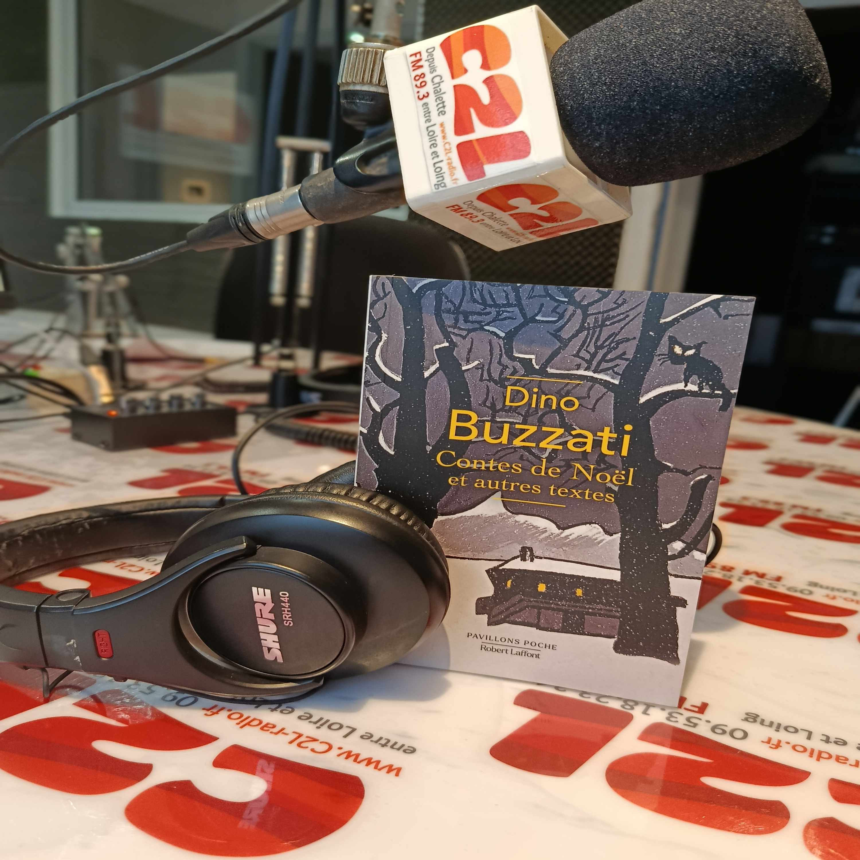 Des Voix à Lire – Après Noël. Repos. Une nouvelle de Dino Buzzati episode artwork