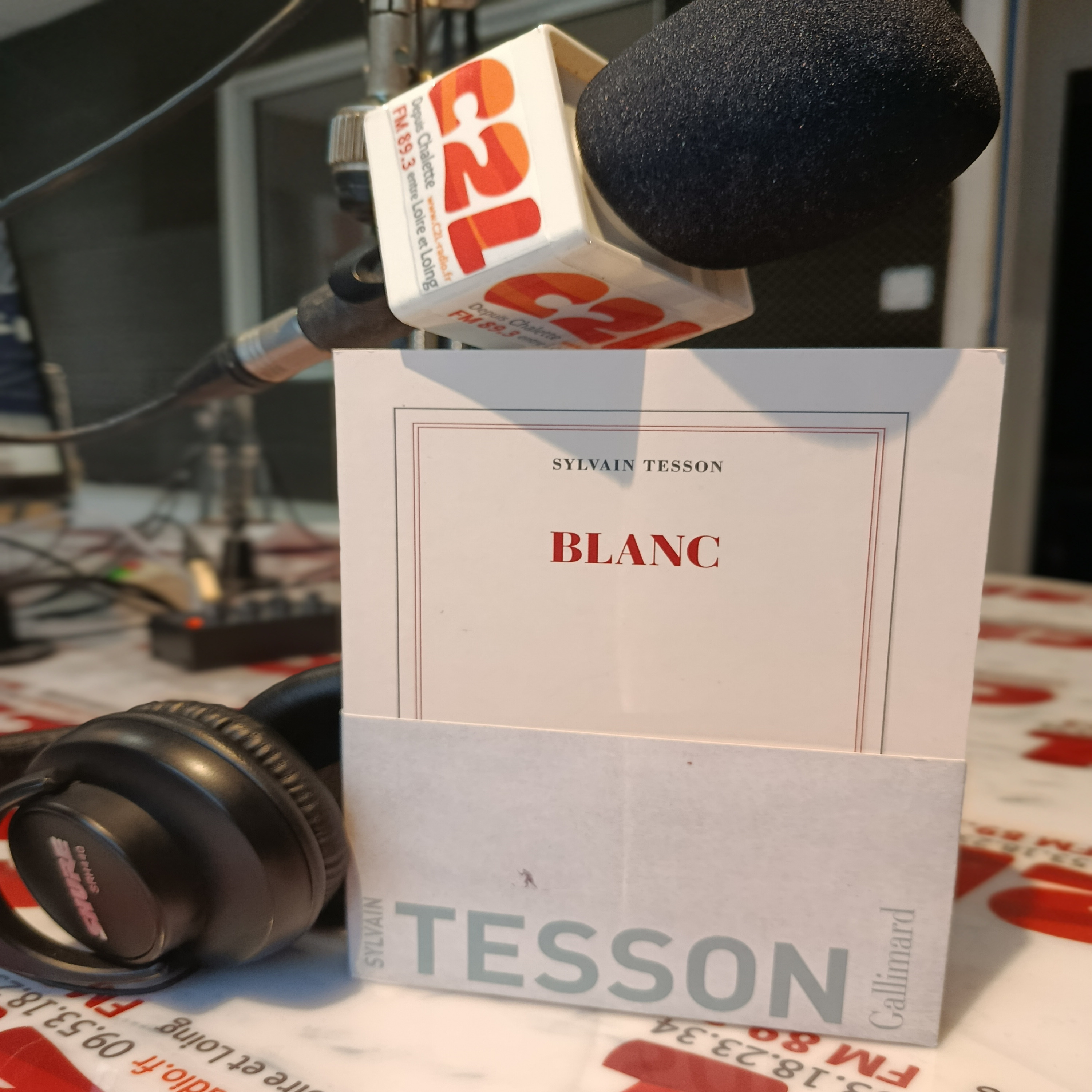 Des Voix à Lire – Blanc, par Sylvain Tesson episode artwork