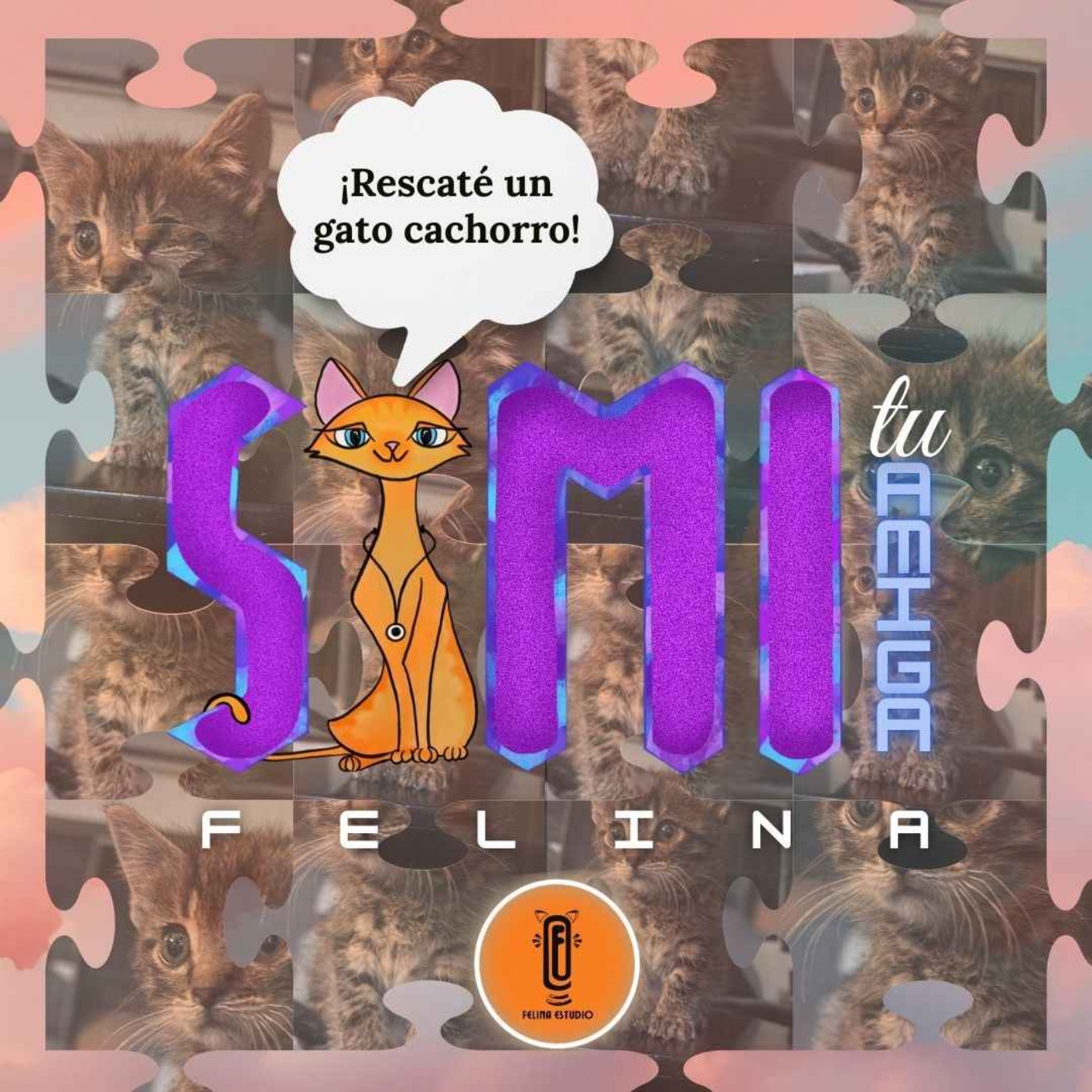 ¡Rescaté un gato cachorro! episode artwork
