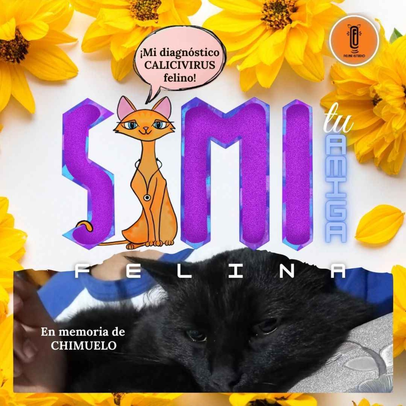 Mi diagnóstico es calicivirus felino episode artwork