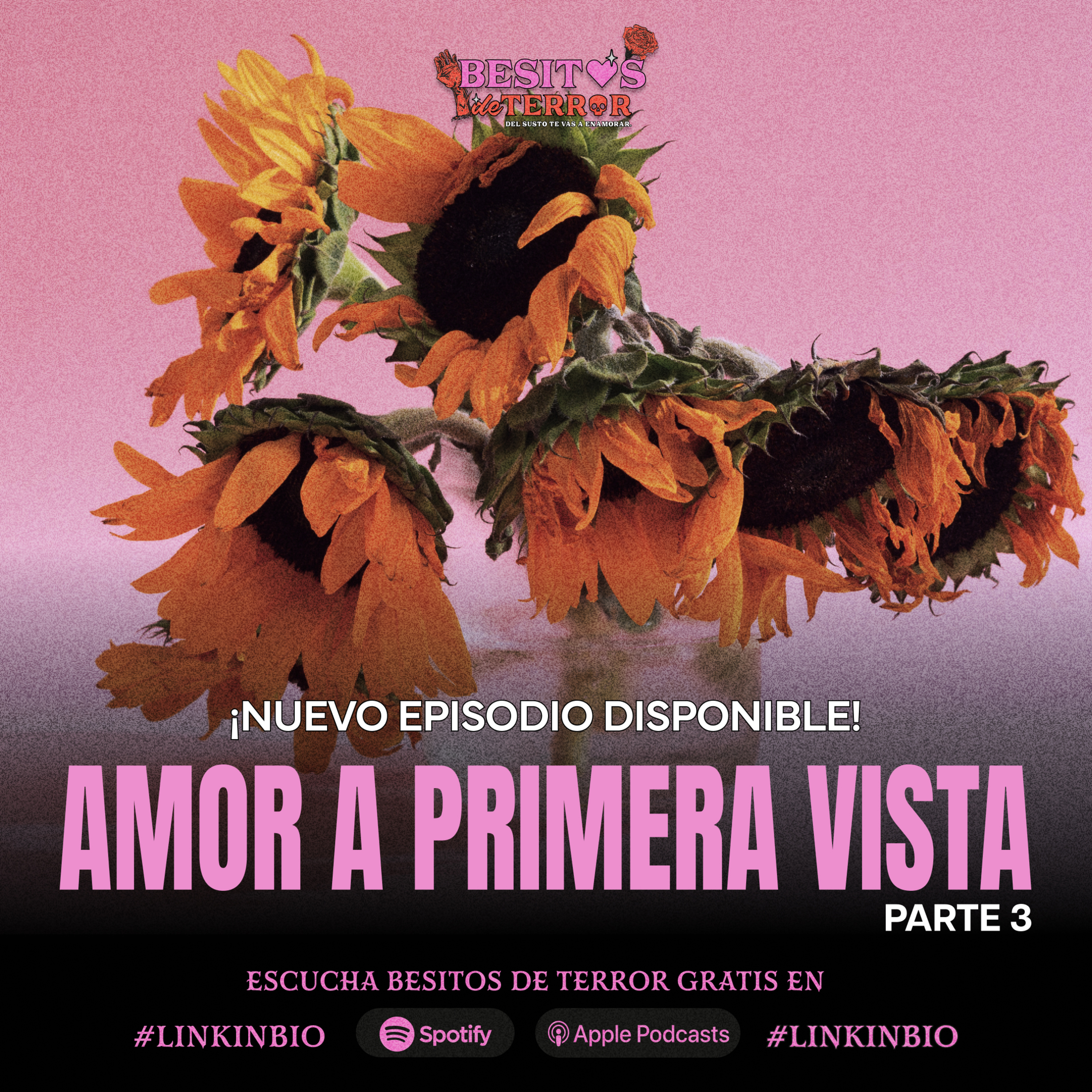 Amor a Primera Vista (parte 3)