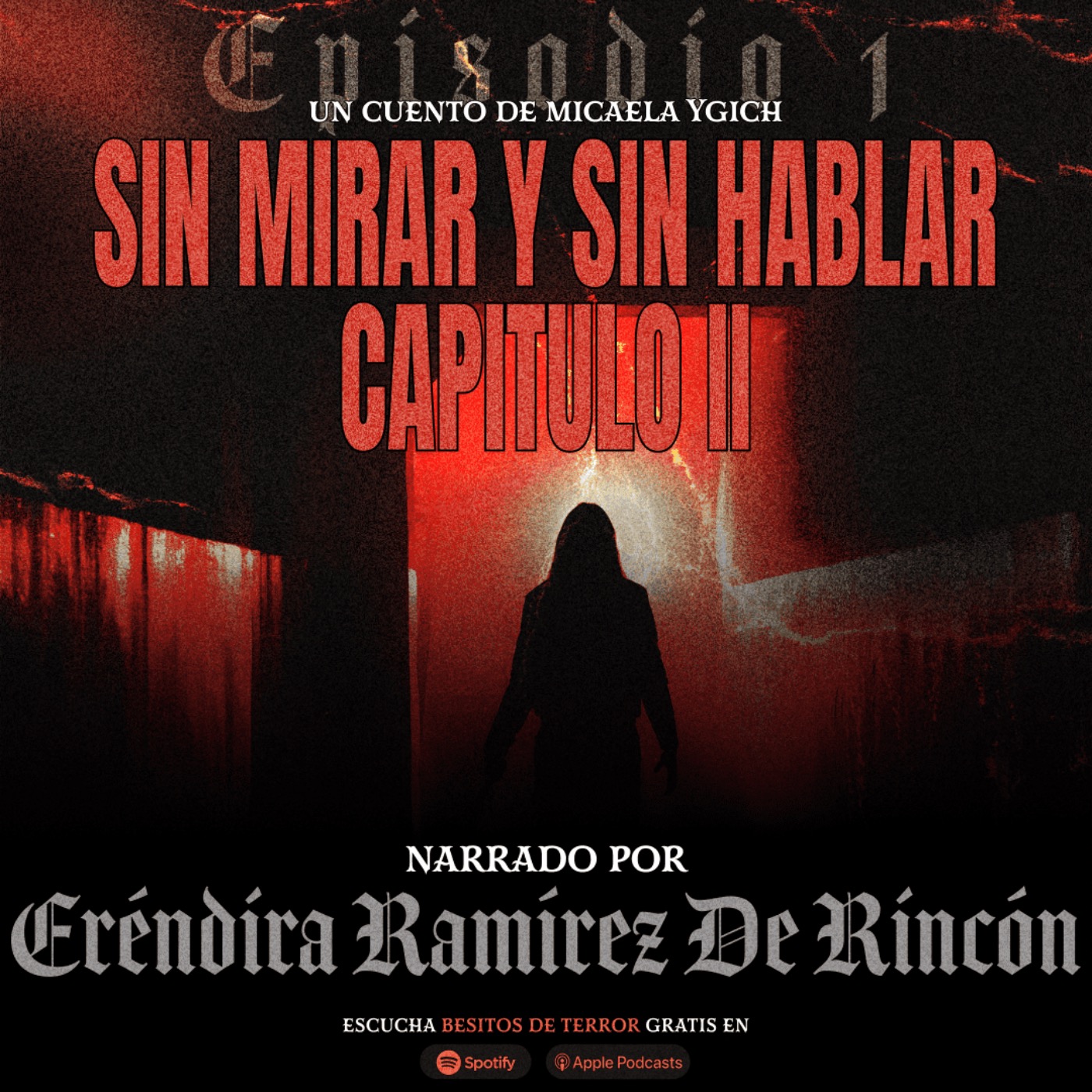 Sin Mirar y Sin Hablar Capitulo 2